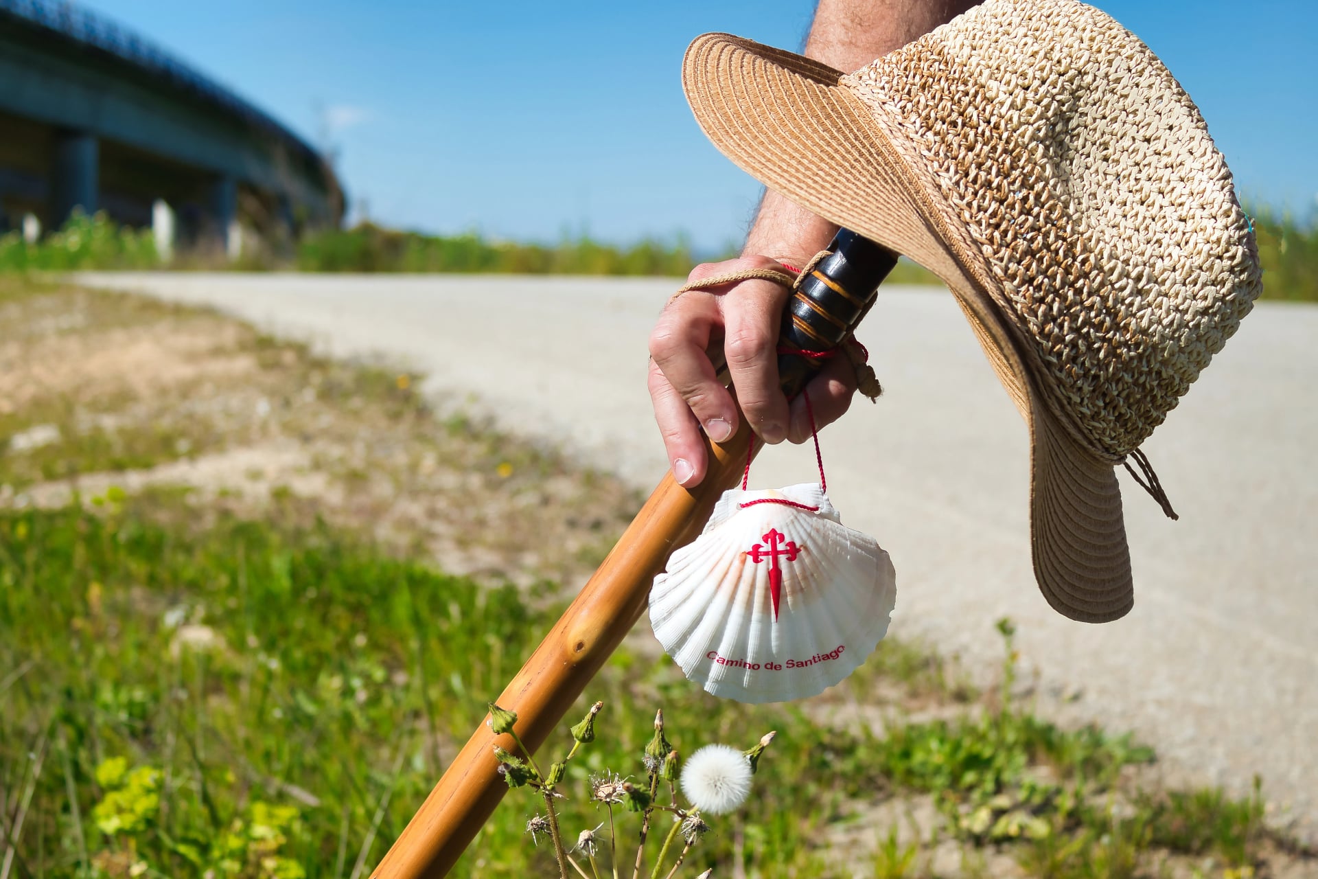 Detail of a hand of a pilgrim on the way of Santiago holding the shell leaning on the walking stick.