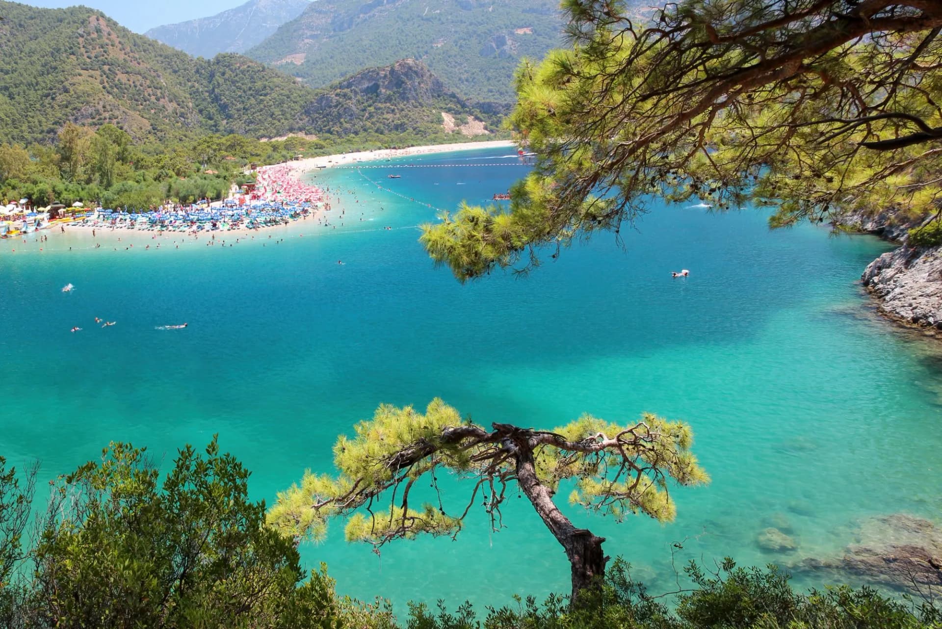 Ölüdeniz Blue Lagoon with turquoise water, crowded beach, and green mountains, viewed through pine branches.