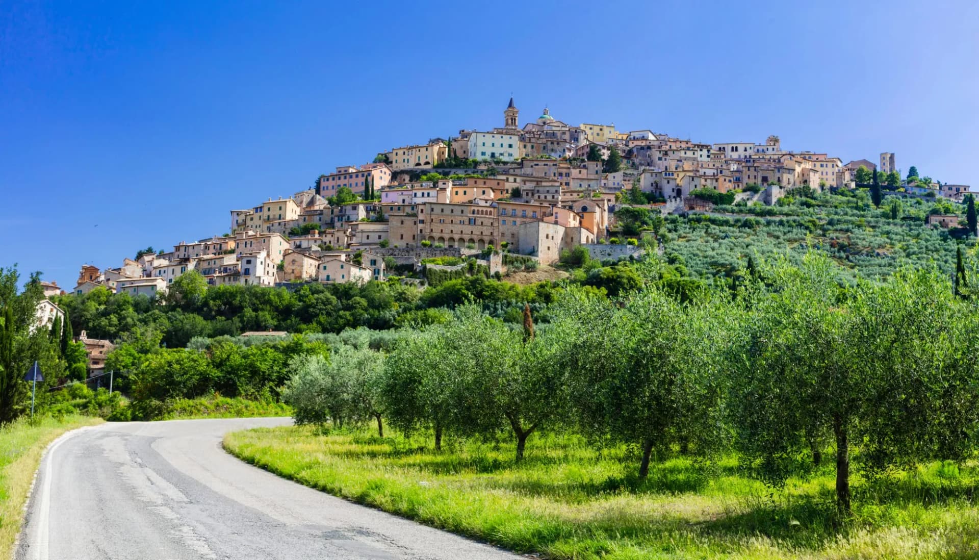Italy, scenic Umbria region. View of beautiful medieval Trevi town with olive trees