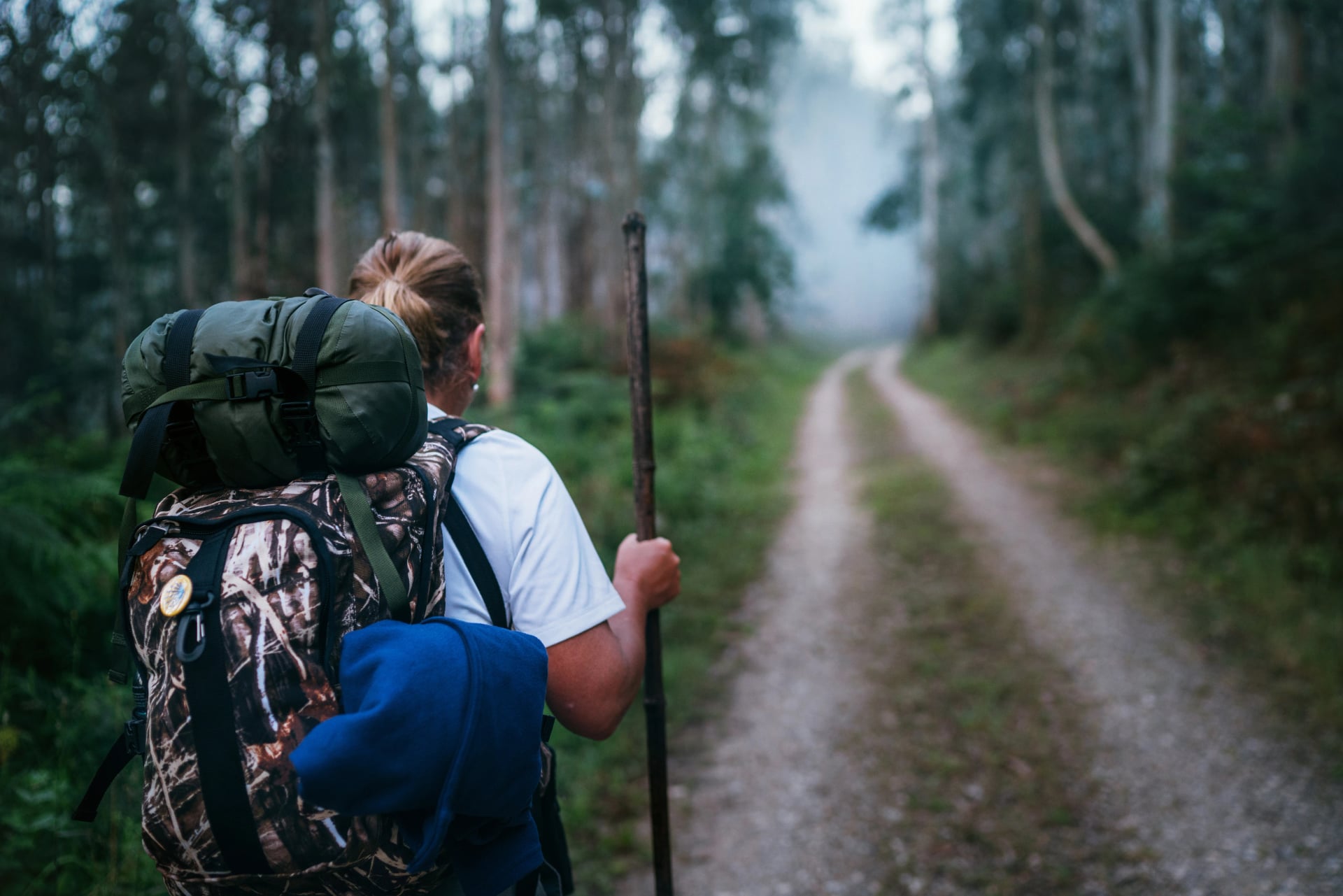 Way of Saint James pilgrim backpacker female going by the path through Eucalyptus forest back view image shoot.