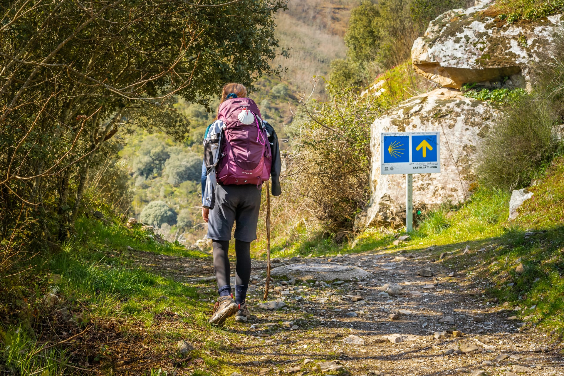 Pilgrim Girl with Hiking Gear Walking outside Molinaseca on Way of St James Camino de Santiago Pilgrimage Trail in Spain