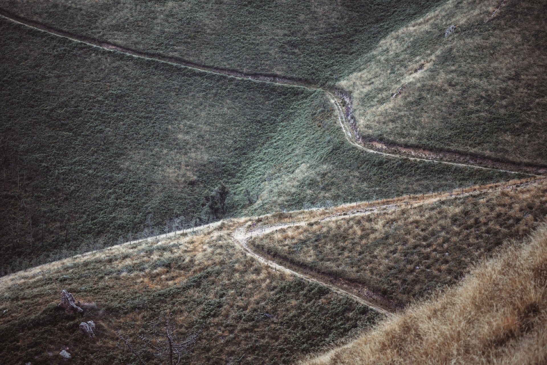 Telephoto winter view of winding hillside paths cutting through textured grass and scrub in Asturias, forming organic geometric lines and a rugged, remote Camino de Santiago landscape