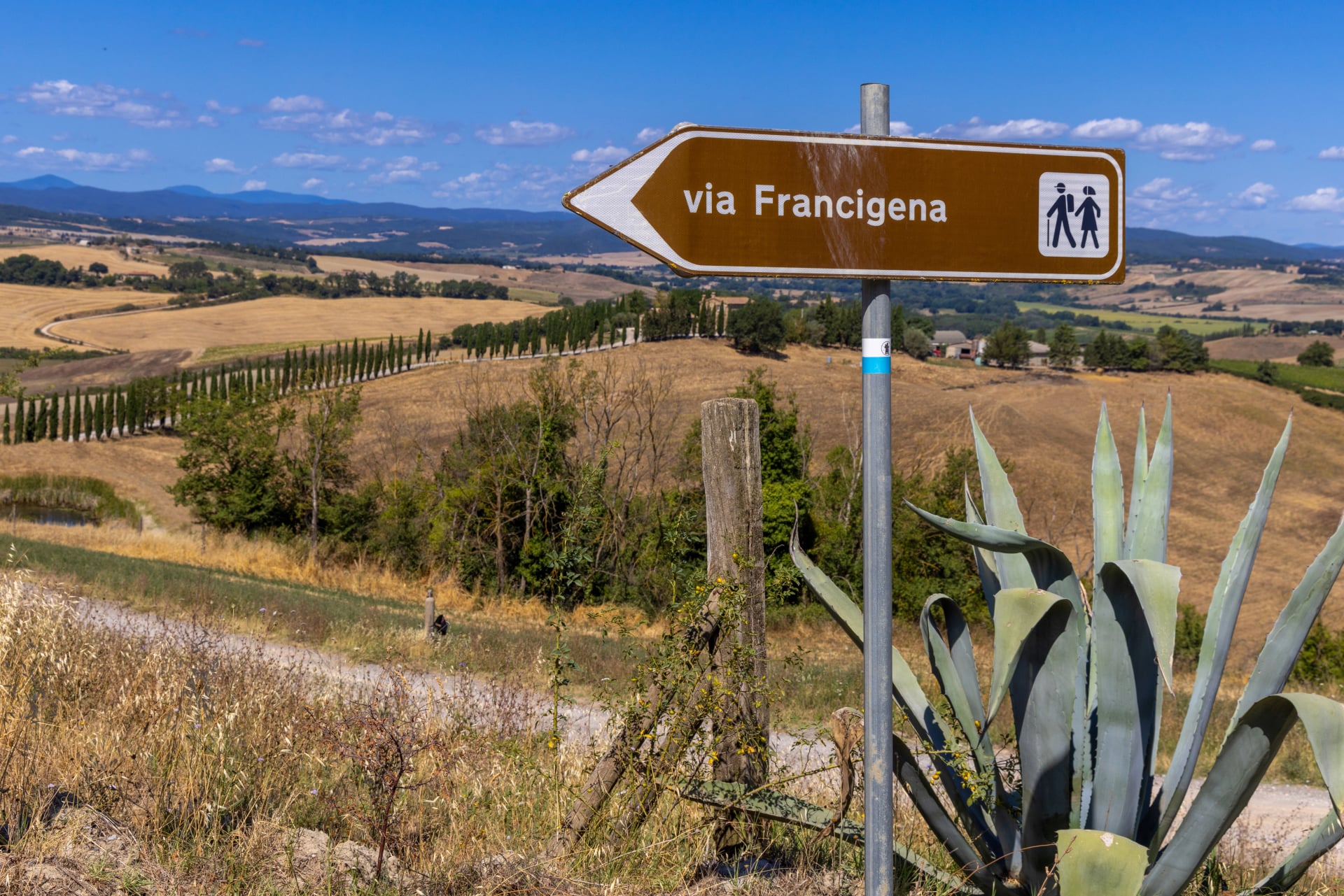 Landscape along via Francigena with Mud road, fields, trees and vineyard. Sign showing the direction of Monteroni d'Arbia, route of the via francigena. Siena province, Tuscany. Italy, Europe.