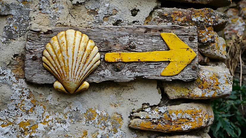 Camino de santiago scallop shell and yellow arrow on stone wall