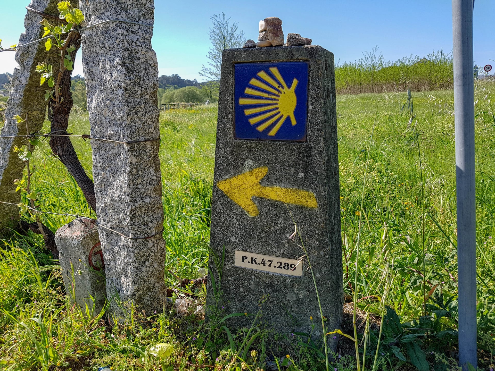 Sign with yellow scallop shell signing the way to Santiago de Compostela on the Saint James pilgrimage way, Camino Portuguese
