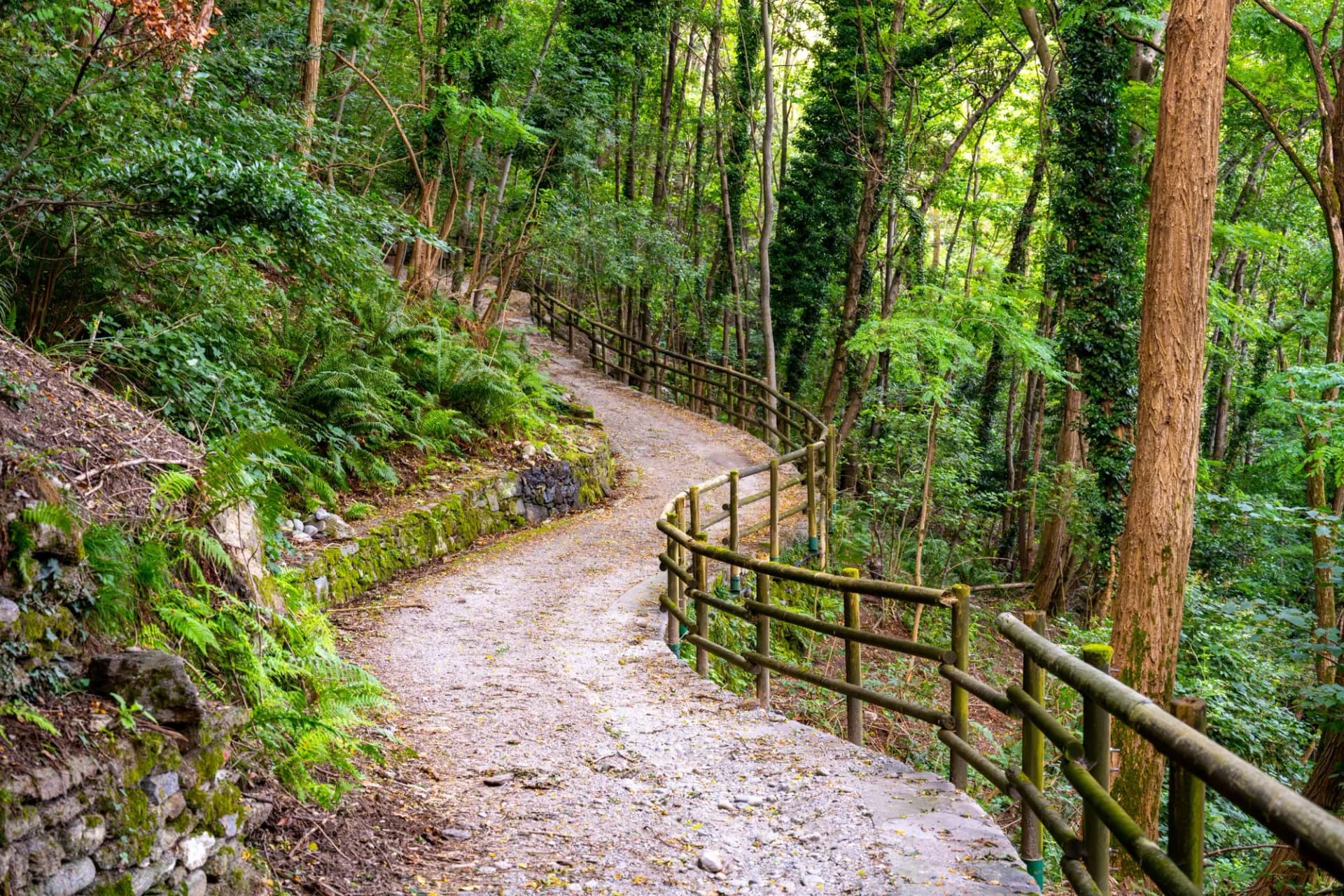 The winding trail of the Sentiero del Viandante offers hikers a serene experience through lush forests, with the sounds of nature surrounding them along the beautiful Lake Como.