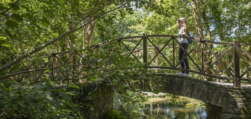 Woman hiking on stone bridge with wooden railing over stream in lush green forest.