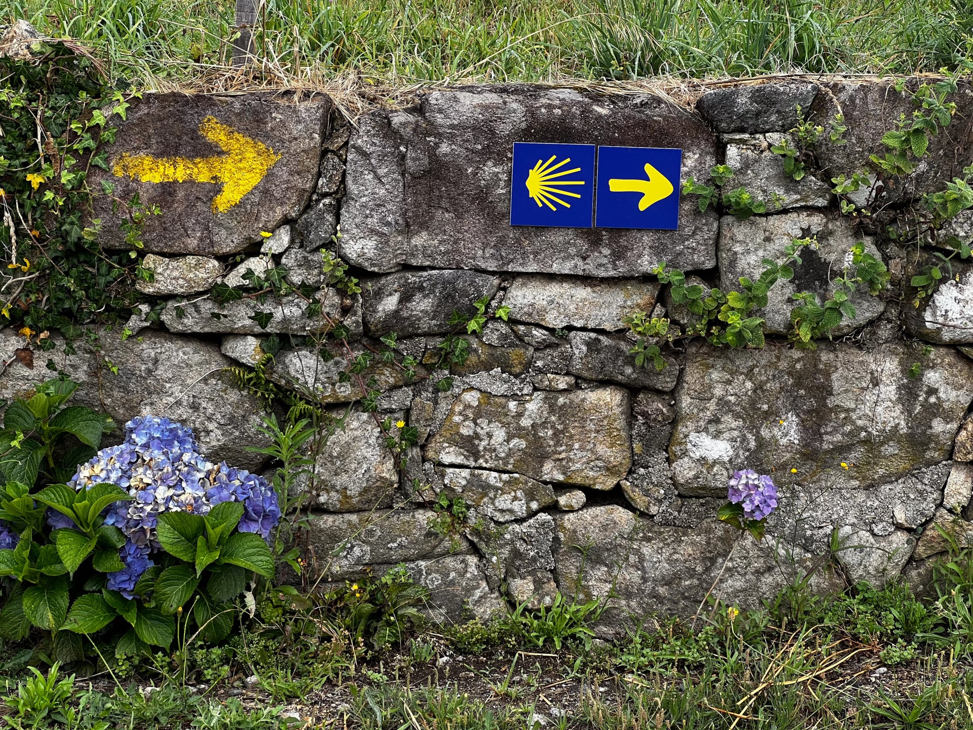 yellow arrow showing the direction of the pilgrimage to Santiago in portugal on the camino de Santiago, the road to santiago, christian pilgrimage