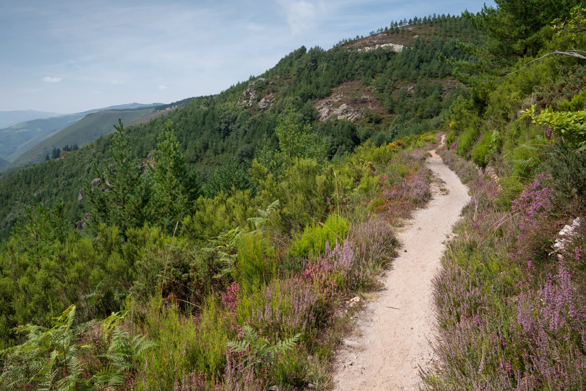Camino Primitivo, Asturias, Spain