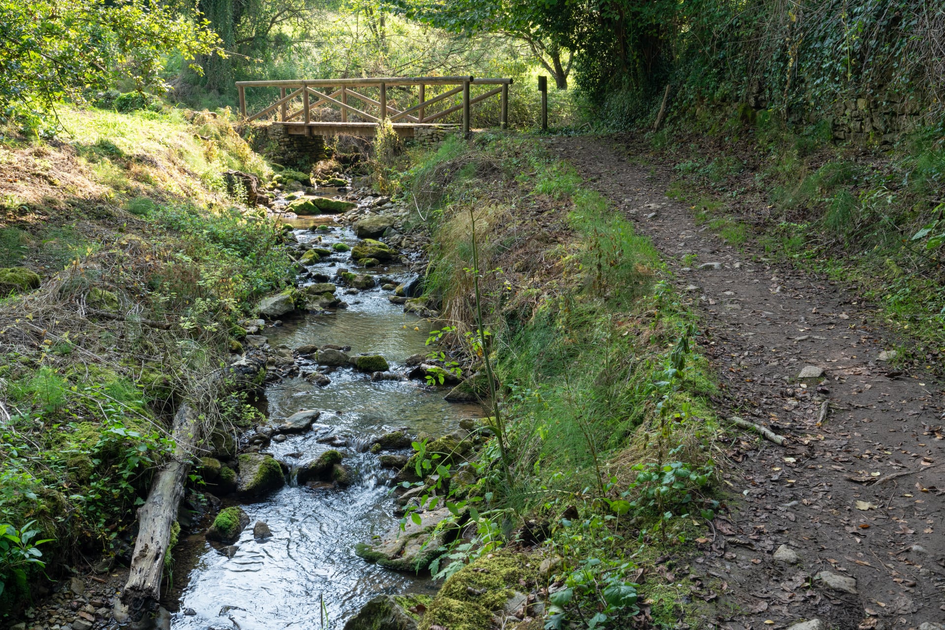 Camino Primitivo, Asturias, Spain