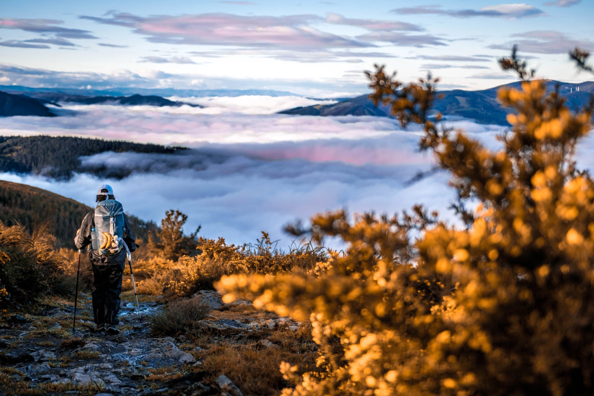 Peregrino recorriendo el camino primitivo de santiago sobre un mar de nubes y con la concha en primer plano