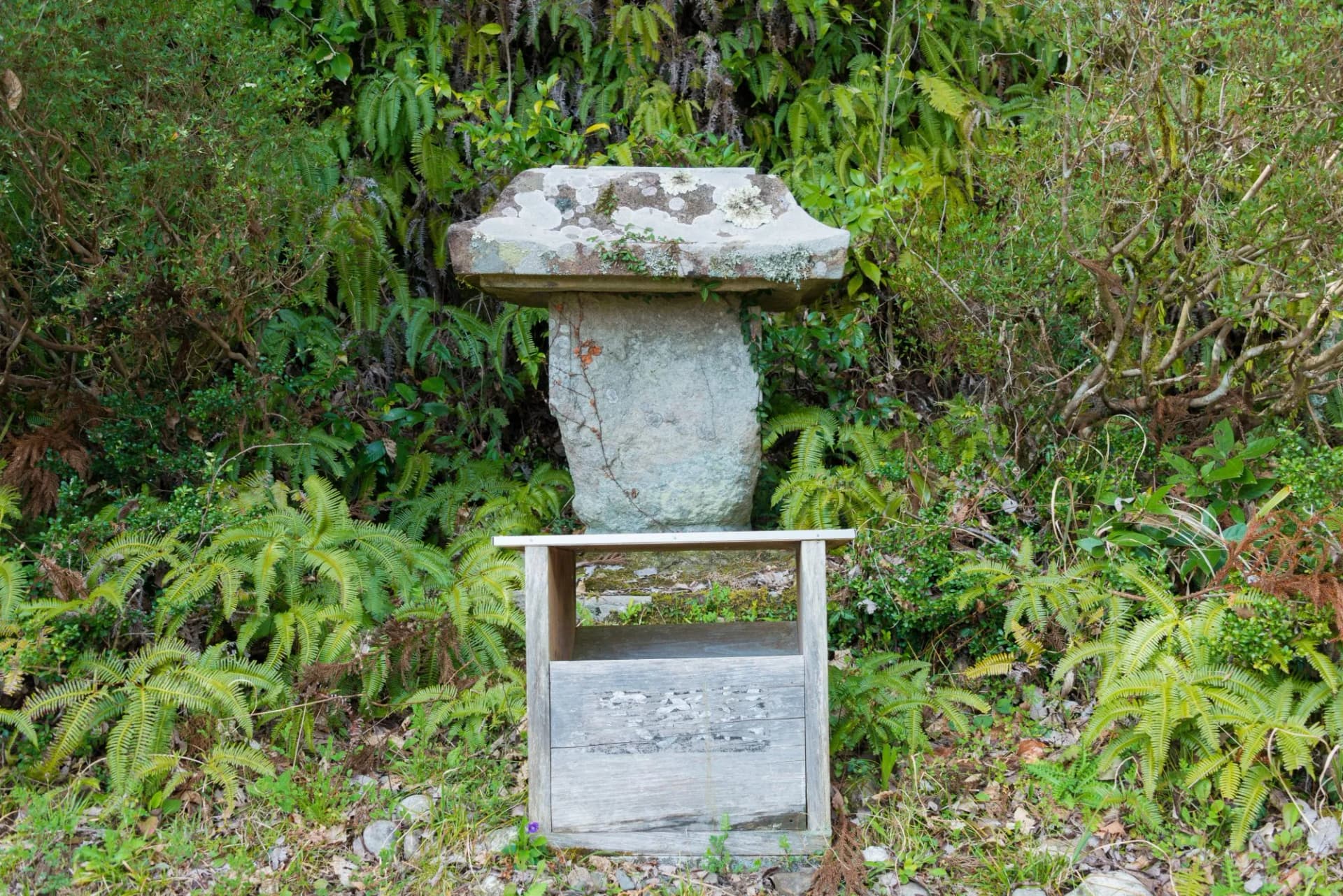 Site of Fushiogami-oji at Kumano Kodo in Tanabe, Wakayama, Japan. It is part of the "Sacred Sites and Pilgrimage Routes in the Kii Mountain Range" UNESCO World Heritage Site