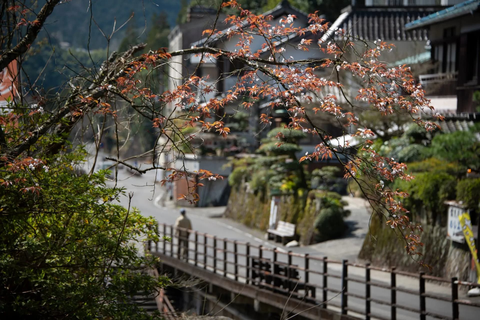 Remote mountain village of Yunomine Onsen in spring, the oldest onsen town in Japan