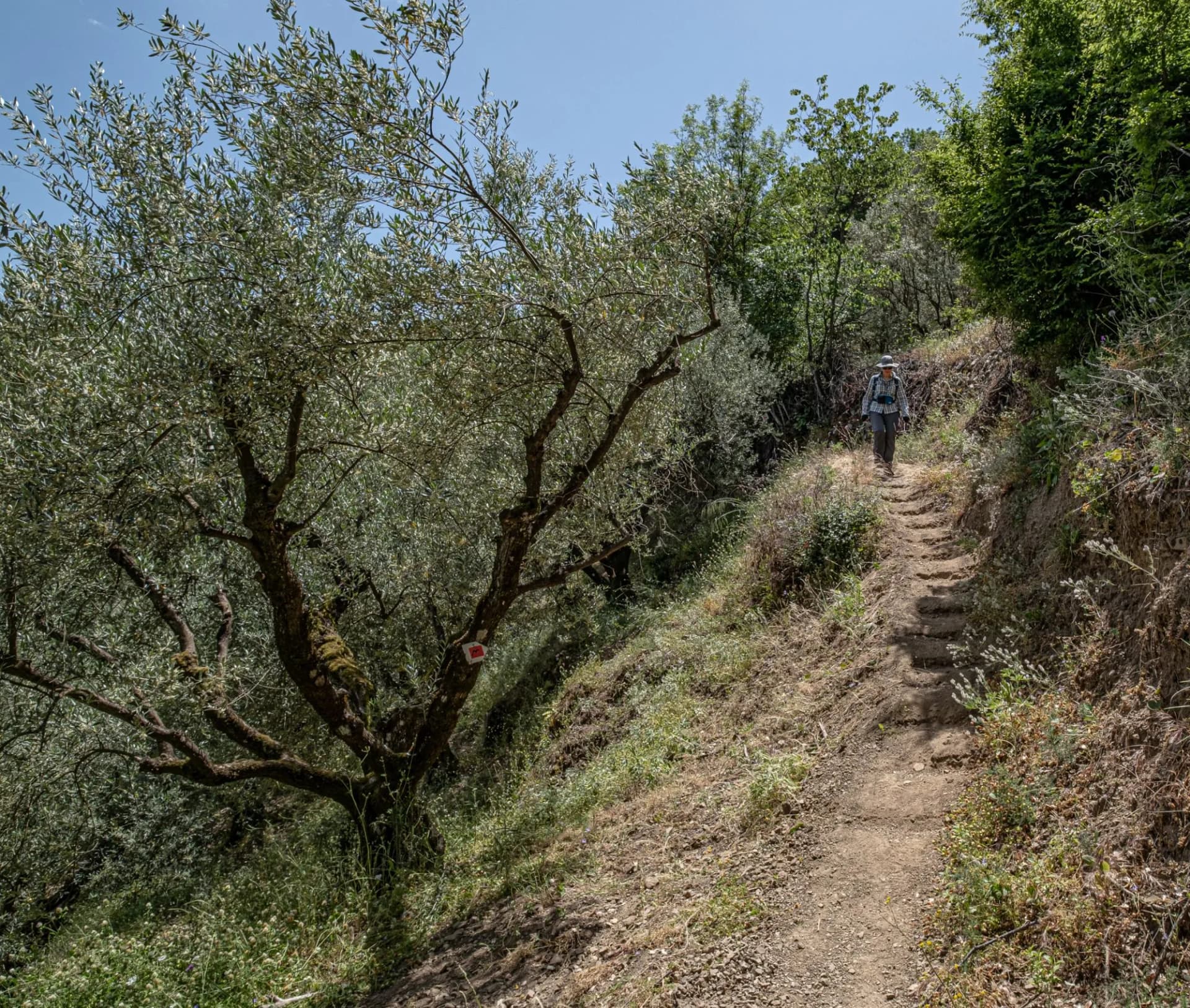 Valtesiniko village in Arcadia Greece trail