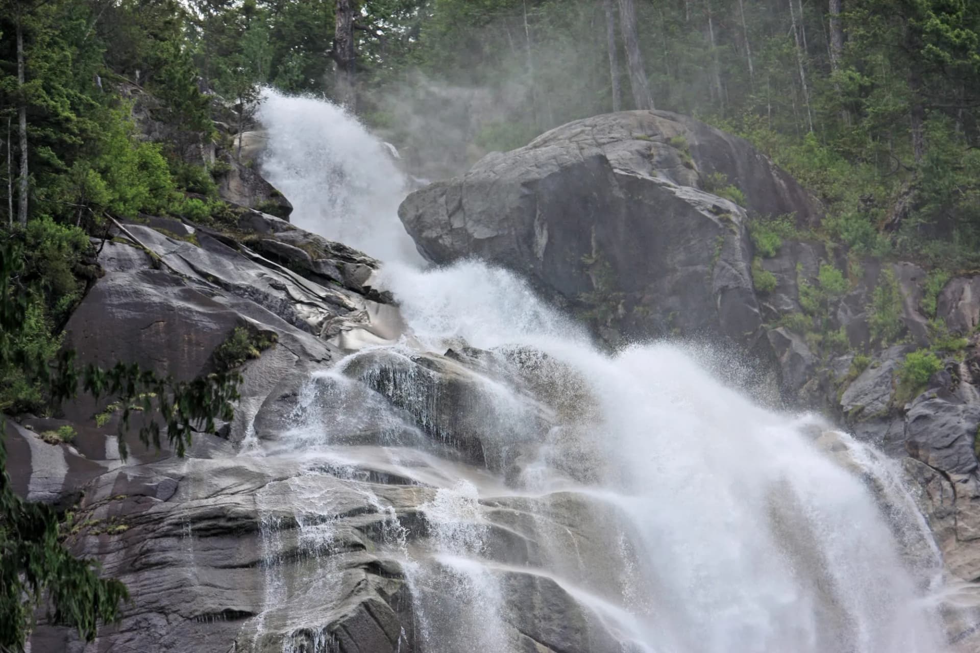 Powerful waterfall cascading over gray rocks surrounded by dense green forest at Shannon Falls.