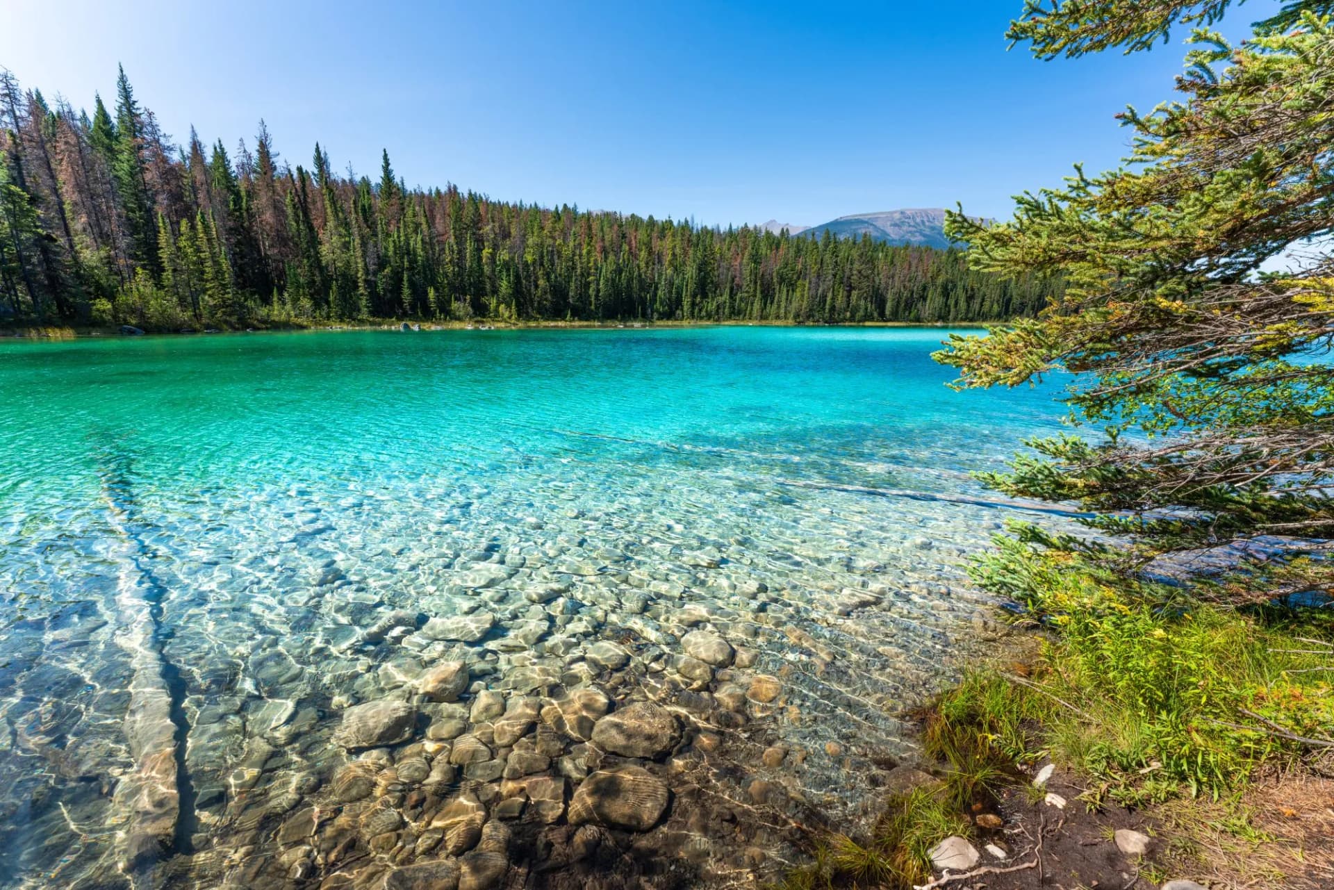 Second lake at Valley of Five Lakes, Jasper, Canadian Rockies, Canada.
