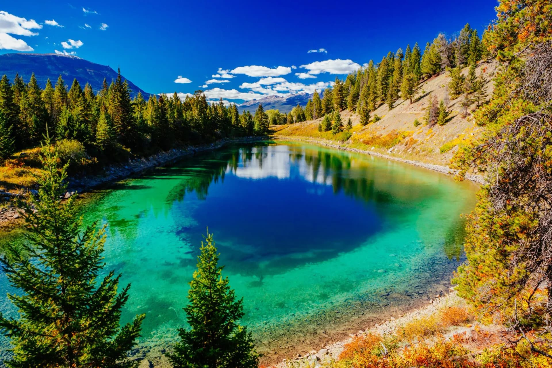 Turquoise and deep blue mountain lake reflecting bright blue sky and clouds, surrounded by pine trees.