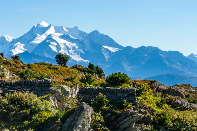 Jungfrau-Aletsch protected area, Bernese Alps, Switzerland