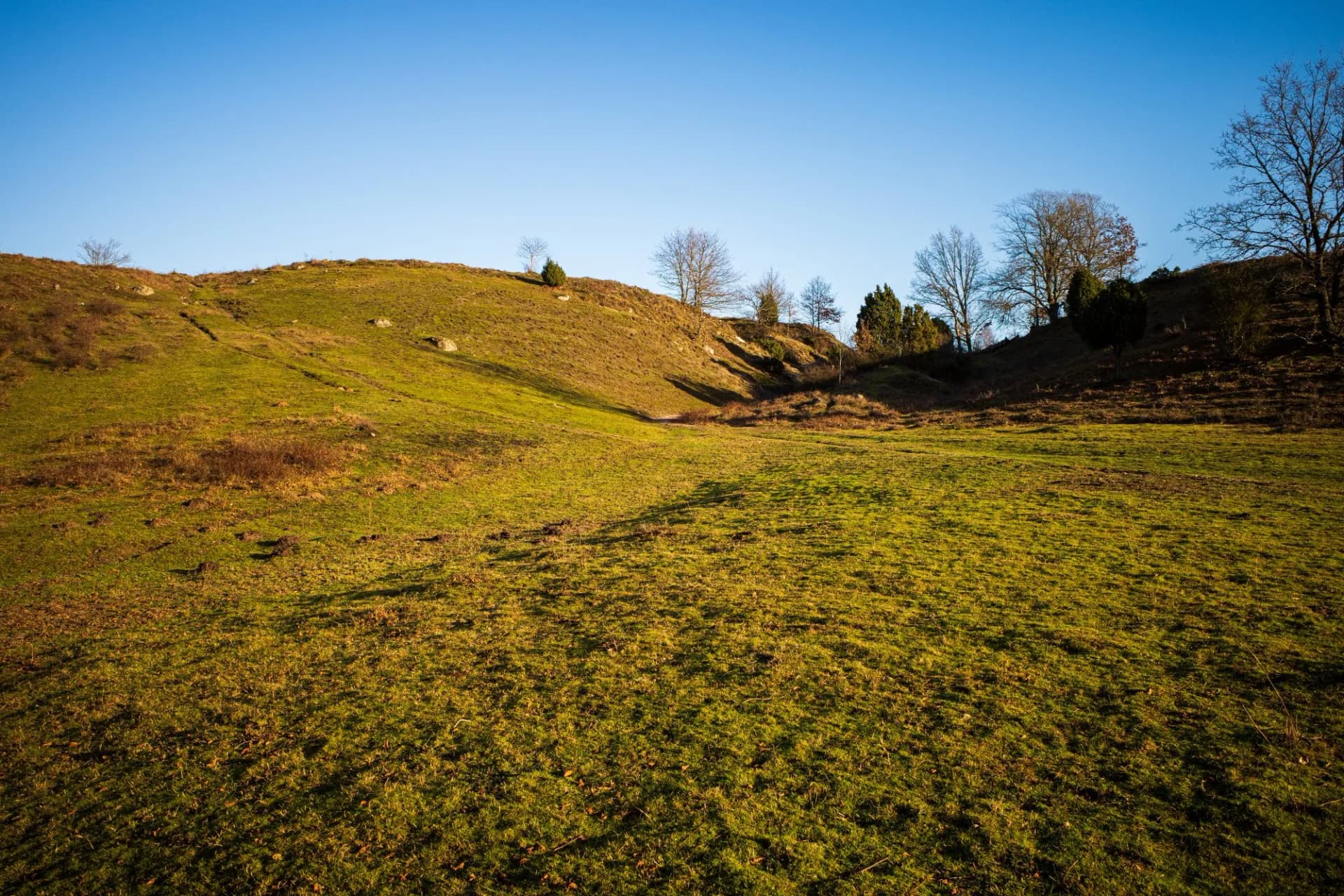 The fields with a clear blue sky I. Brösarps backar in Skåne, Sweden, formed during the latest ice-age.