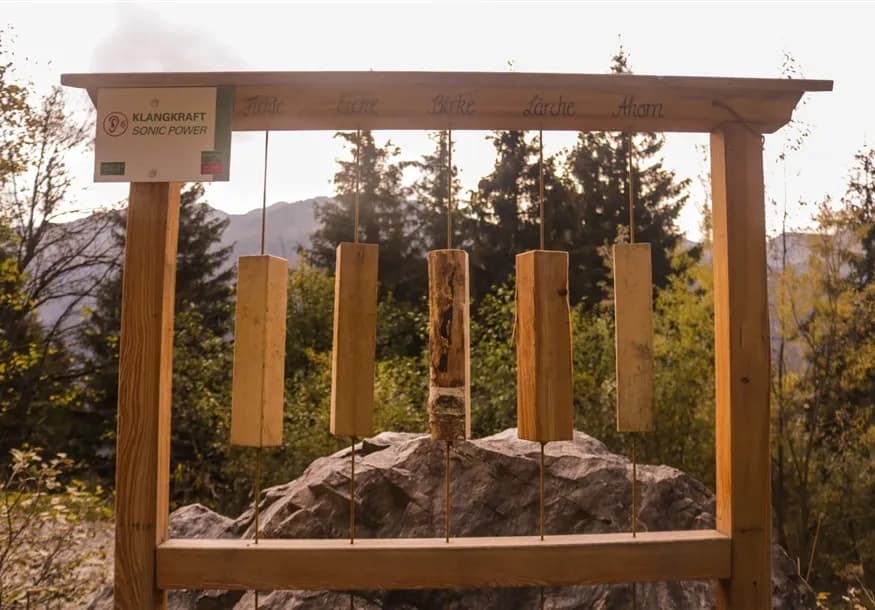 power of trees nature trail