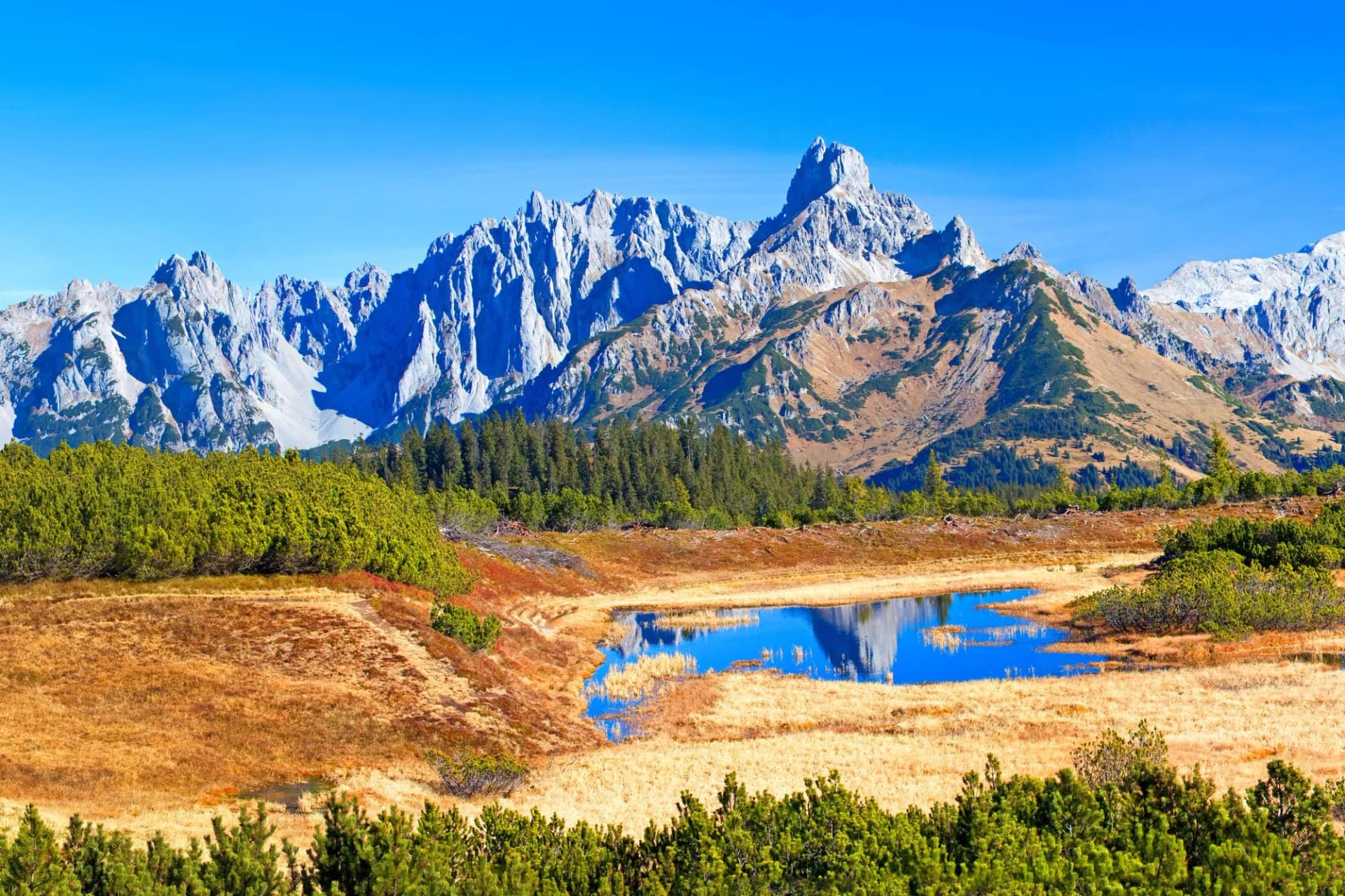 Bischofsmütze in Filzmoos