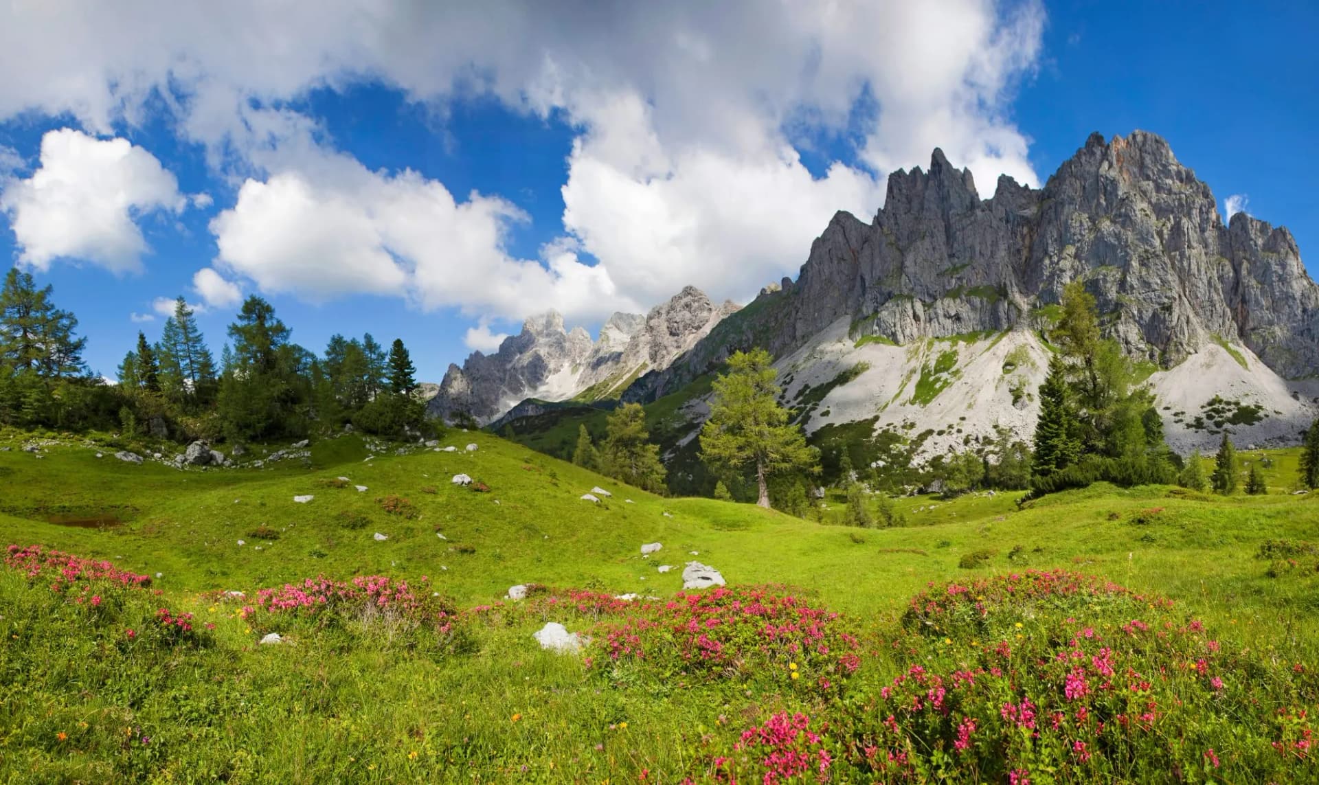 Die Bischofsmütze in Filzmoos