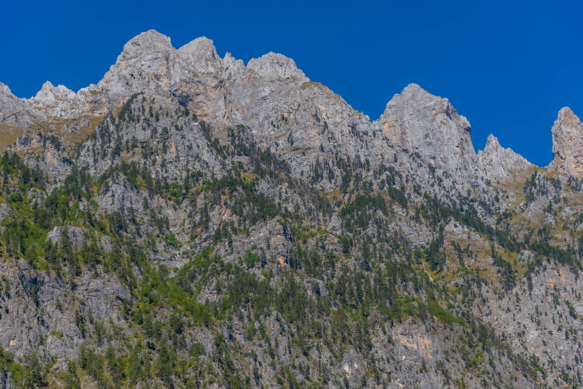 Splendid landscape of Valbona valley in Albania with rugged gray mountains and scattered green pine trees under a clear bl...