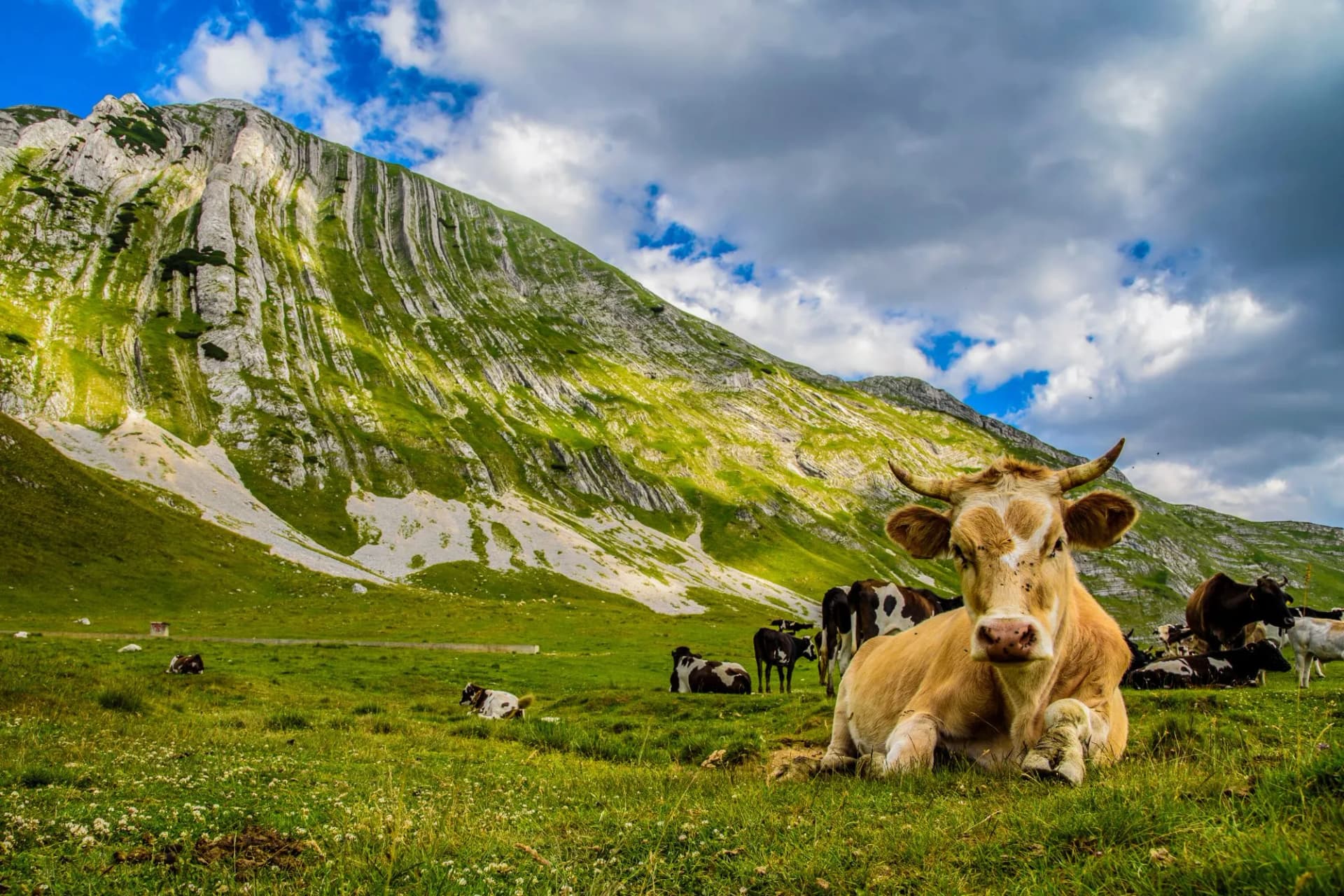 Beautiful landscape of Montenegro, Montenegro mountains, sea and mountains. Panorama