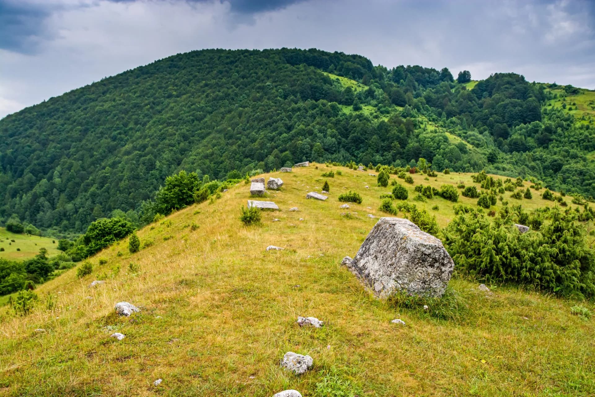 Necropolis with stecak near Umoljani in Bosnia and Herzegovina