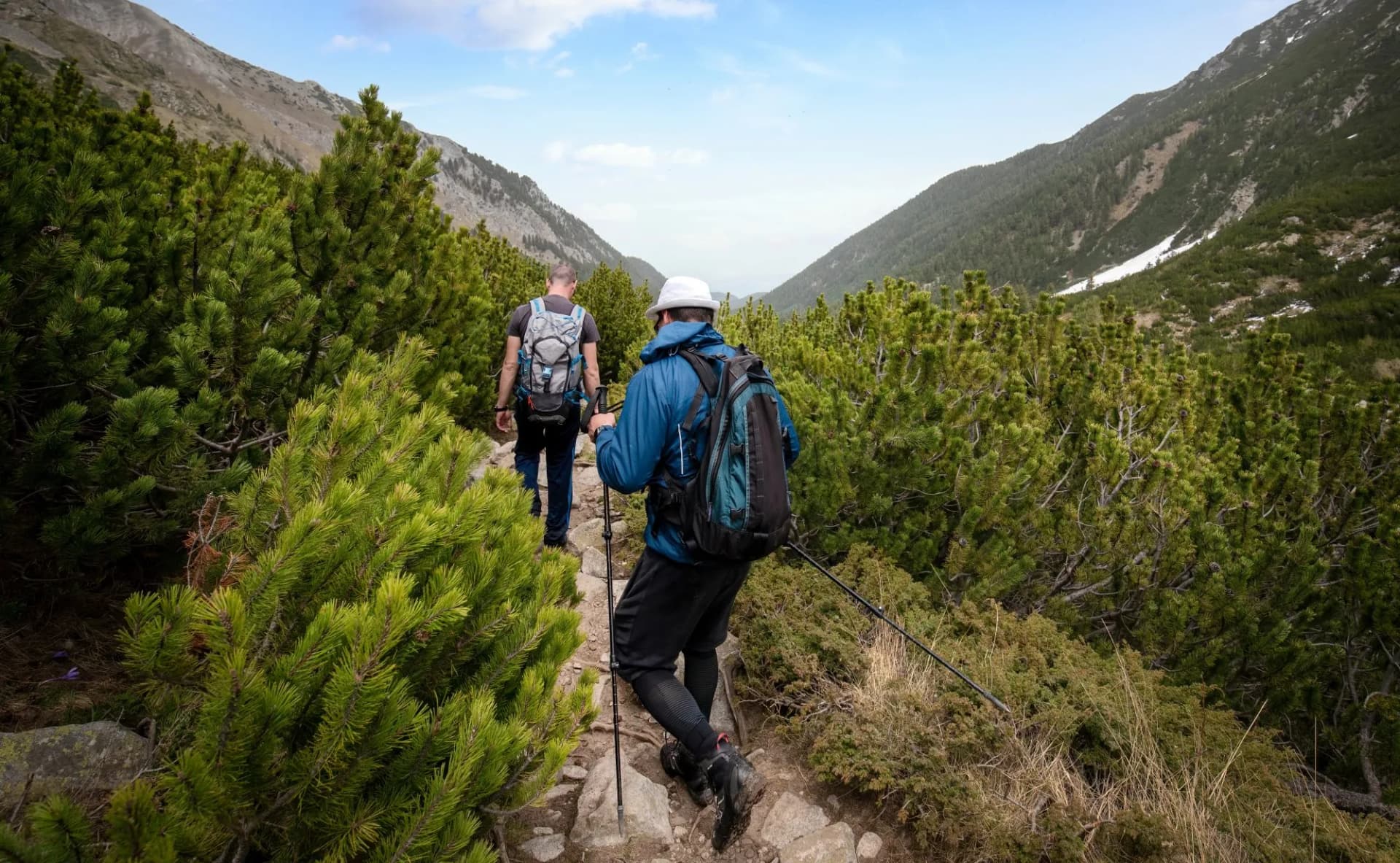 Two young men walk down a path with sticks and backpacks at the mountain. Hikers in Pirin mountain, Bulgaria. Beautiful spring green landscape