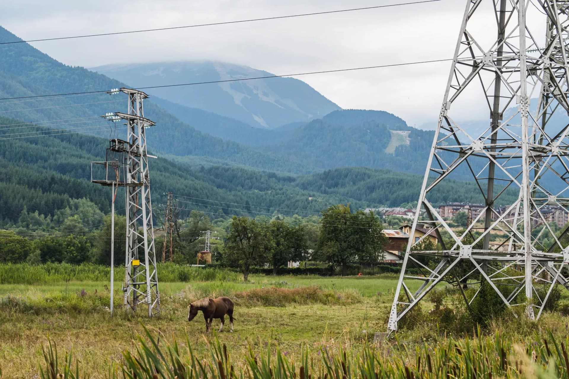 A horse grazes in a meadow between power lines near the town of Bansko under high mountain peaks