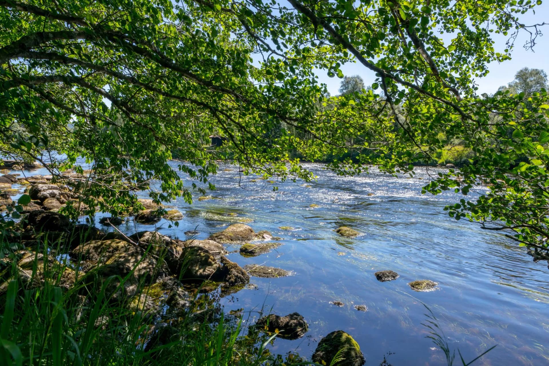 Speyside river scotland