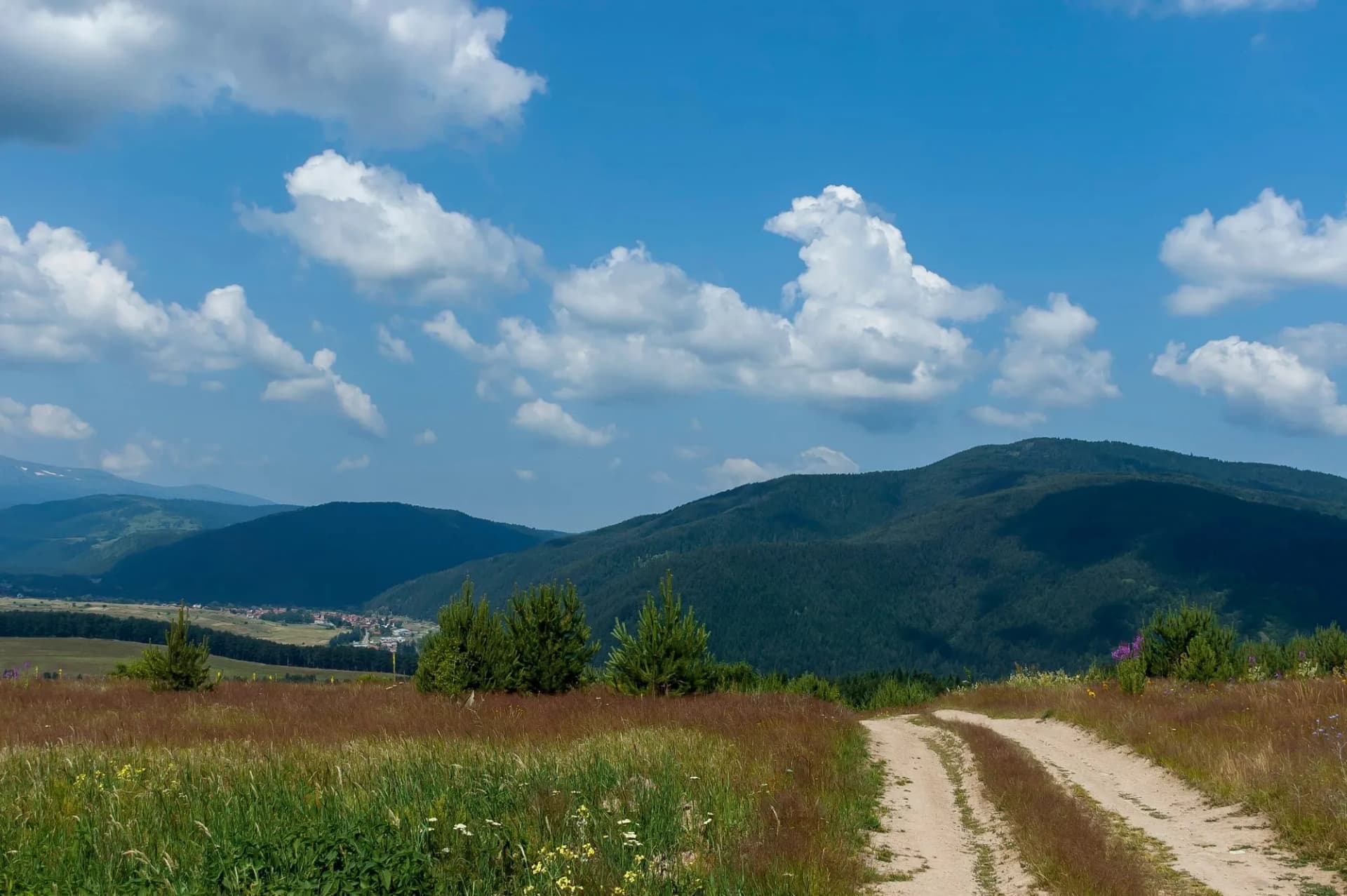 Scene with mountain top, valley, forest, glade and residential district of bulgarian village Govedartsi, Rila mountain, Bulgaria