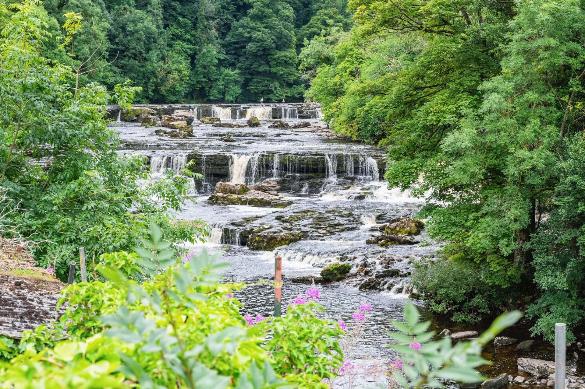 Aysgarth Falls are a three levels one mile stretch waterfalls in Yorkshire Dales National Park, River Ure, Northern England, selective focus