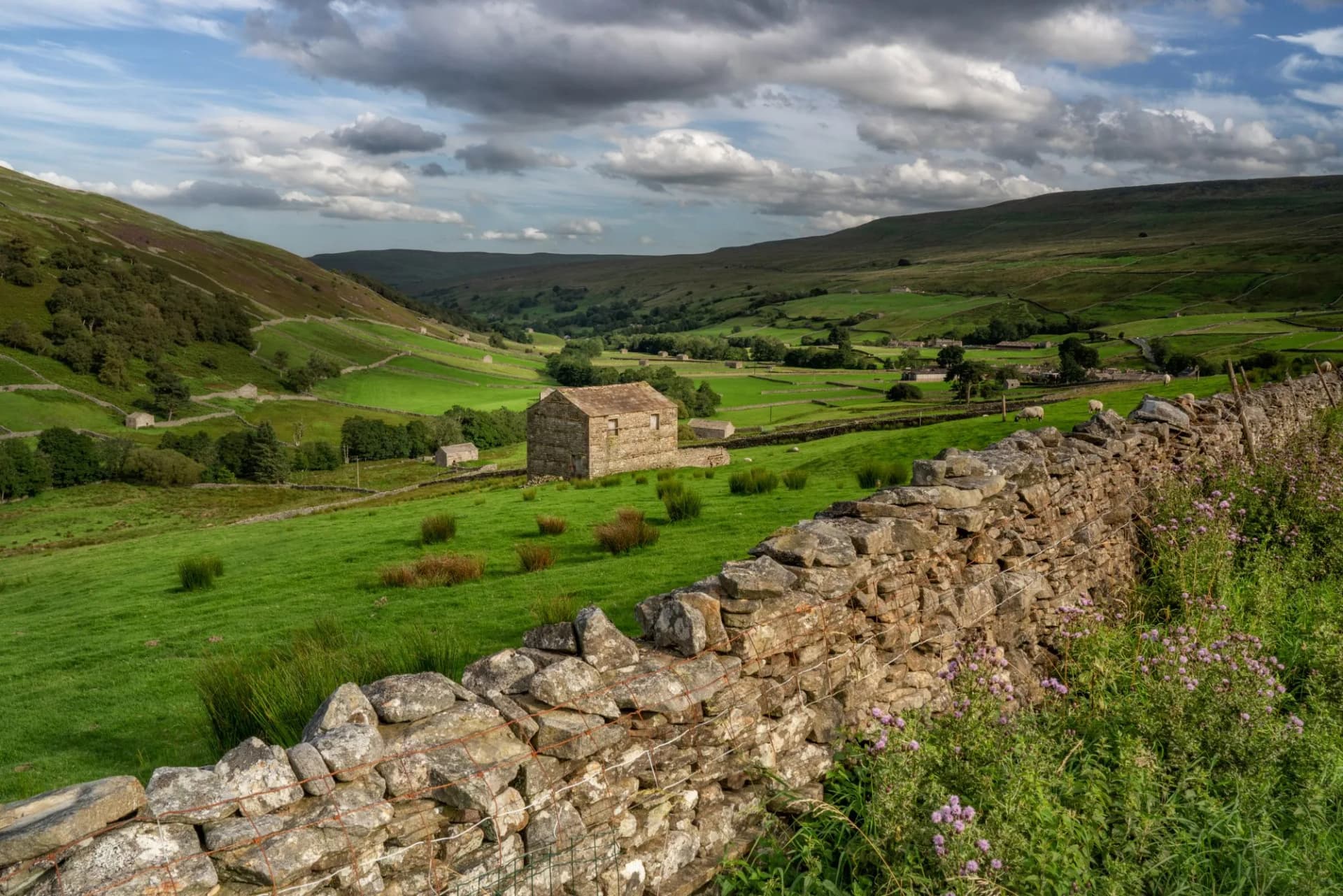 Swaledale Barns near keld in the Yorkshire Dales England. North Yorkshire stone barns and dry stone walls.