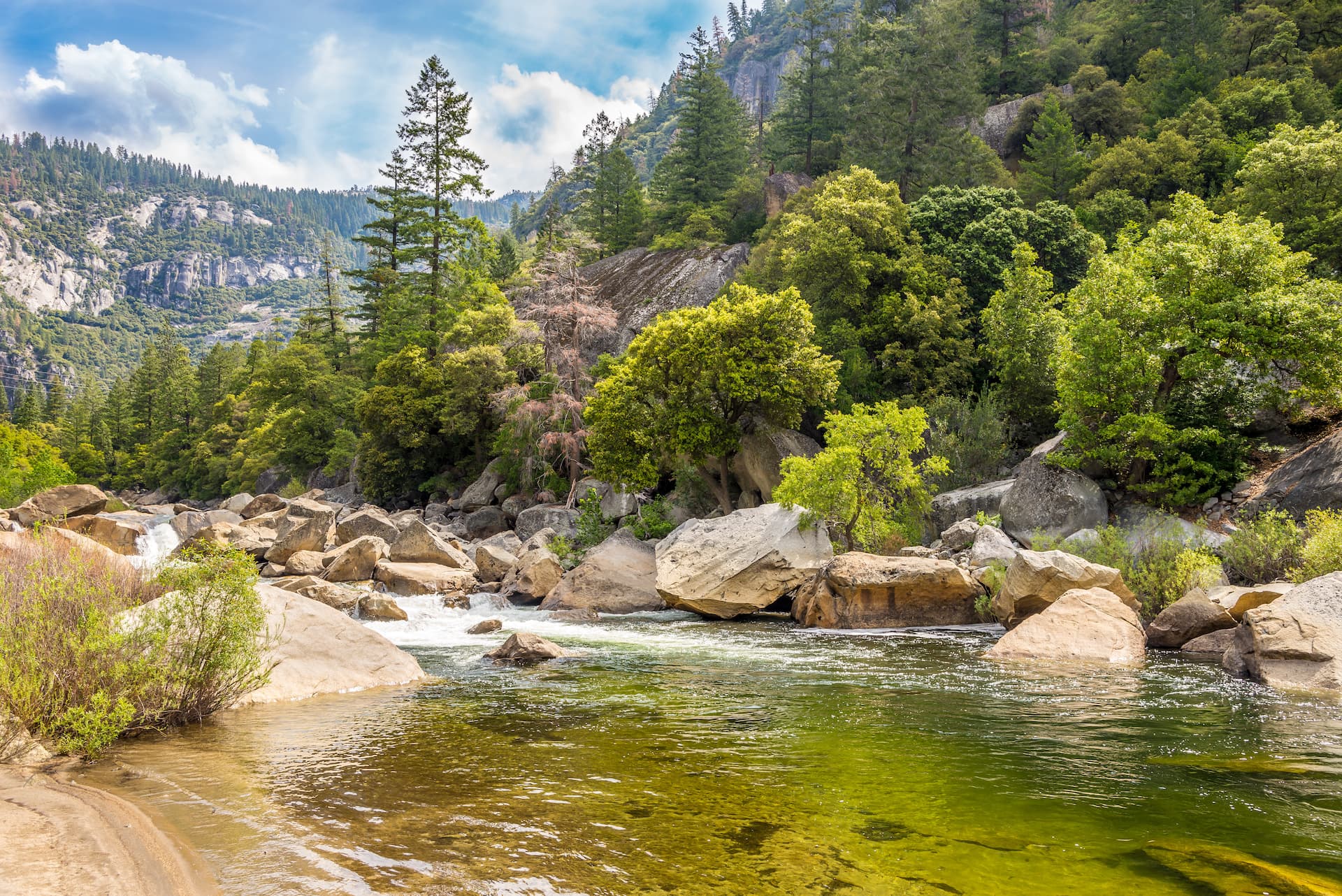 River rapids flowing past large boulders through a lush, forested canyon under a blue sky.
