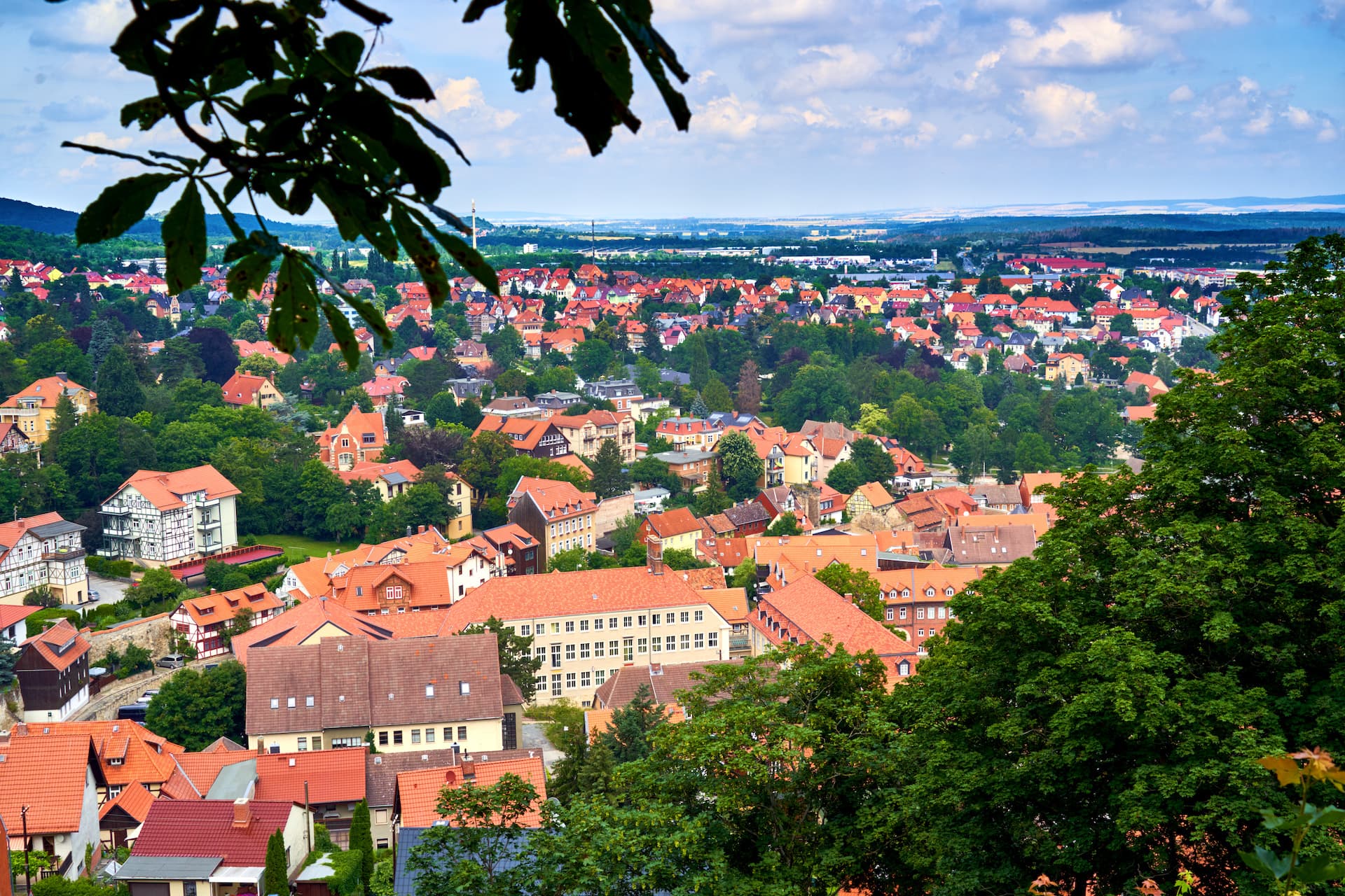 Town view of Blankenburg with dense red-tiled roofs nestled among green trees under a partly cloudy sky.