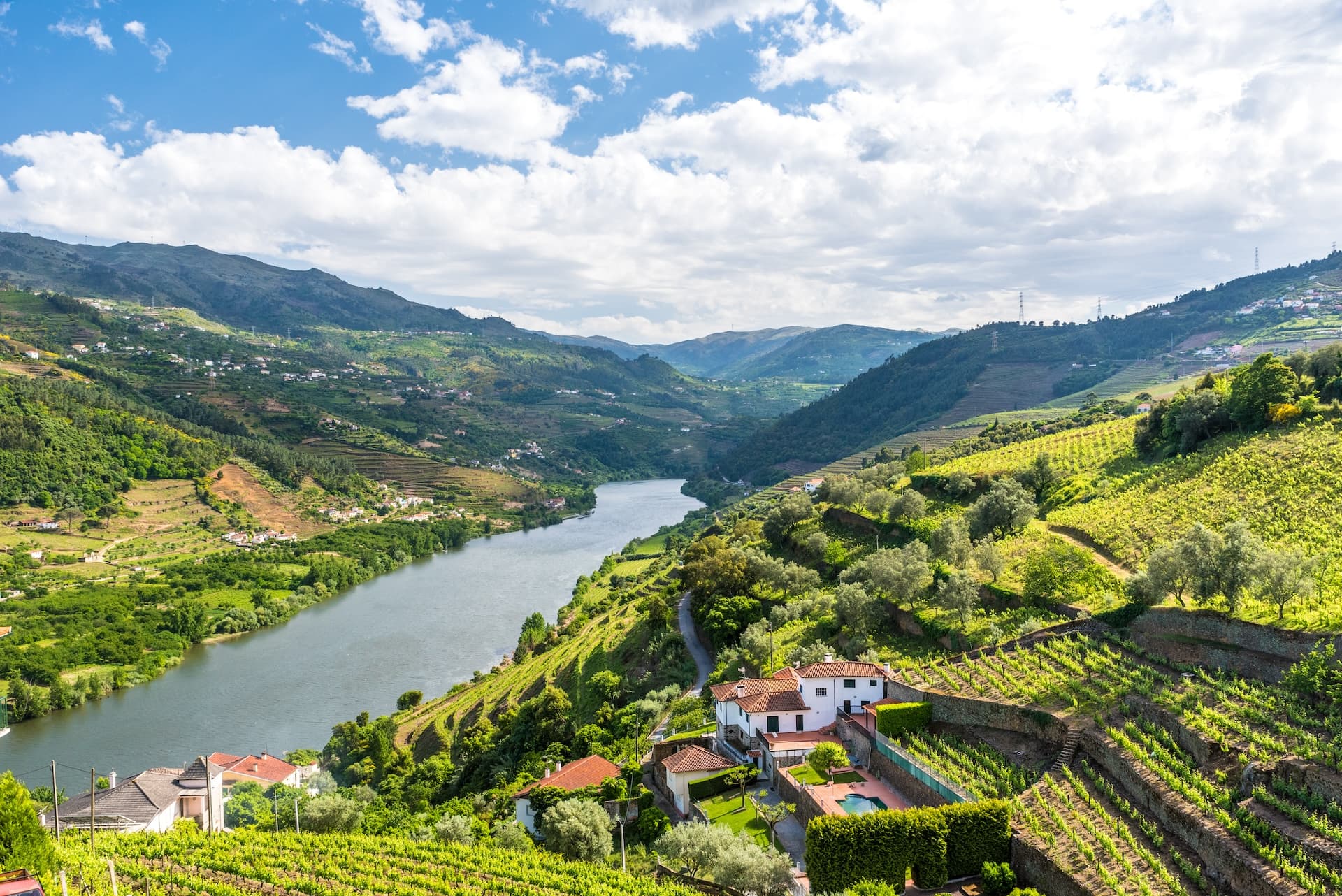Vineyards and houses along the Douro River in Portugal under a partly cloudy sky.