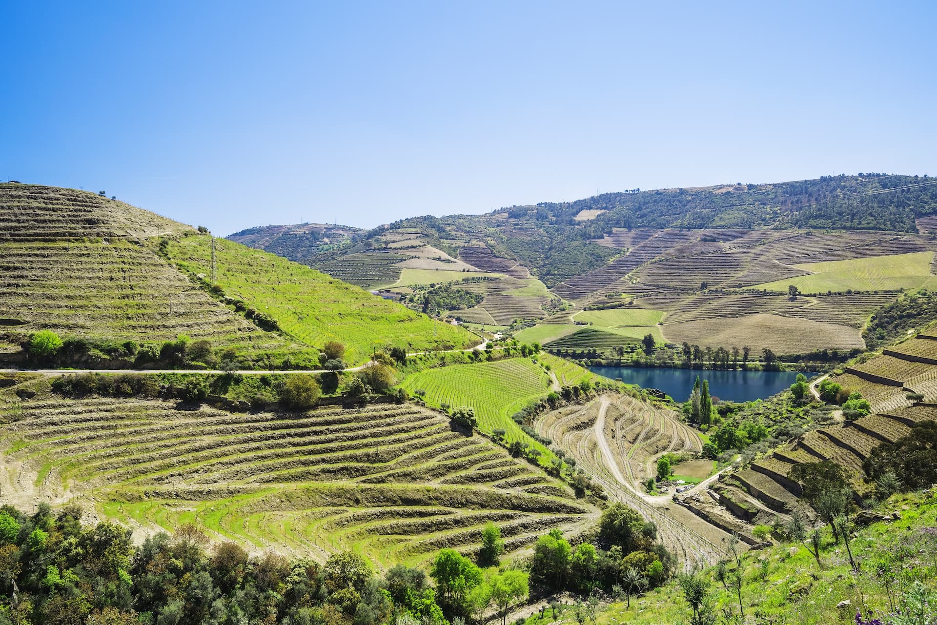 Vineyards and landscape near Pinhao town, Portugal, with terraced hillsides and a blue river.