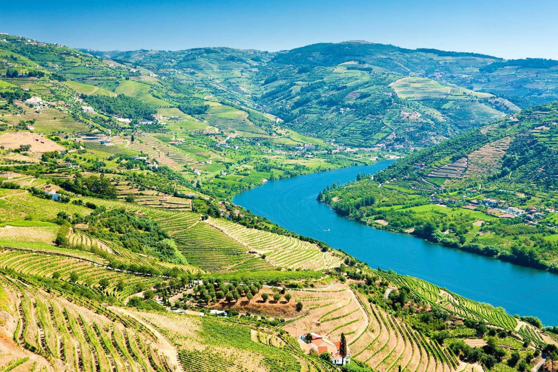 Terraced vineyards along a winding blue river valley under a clear sky
