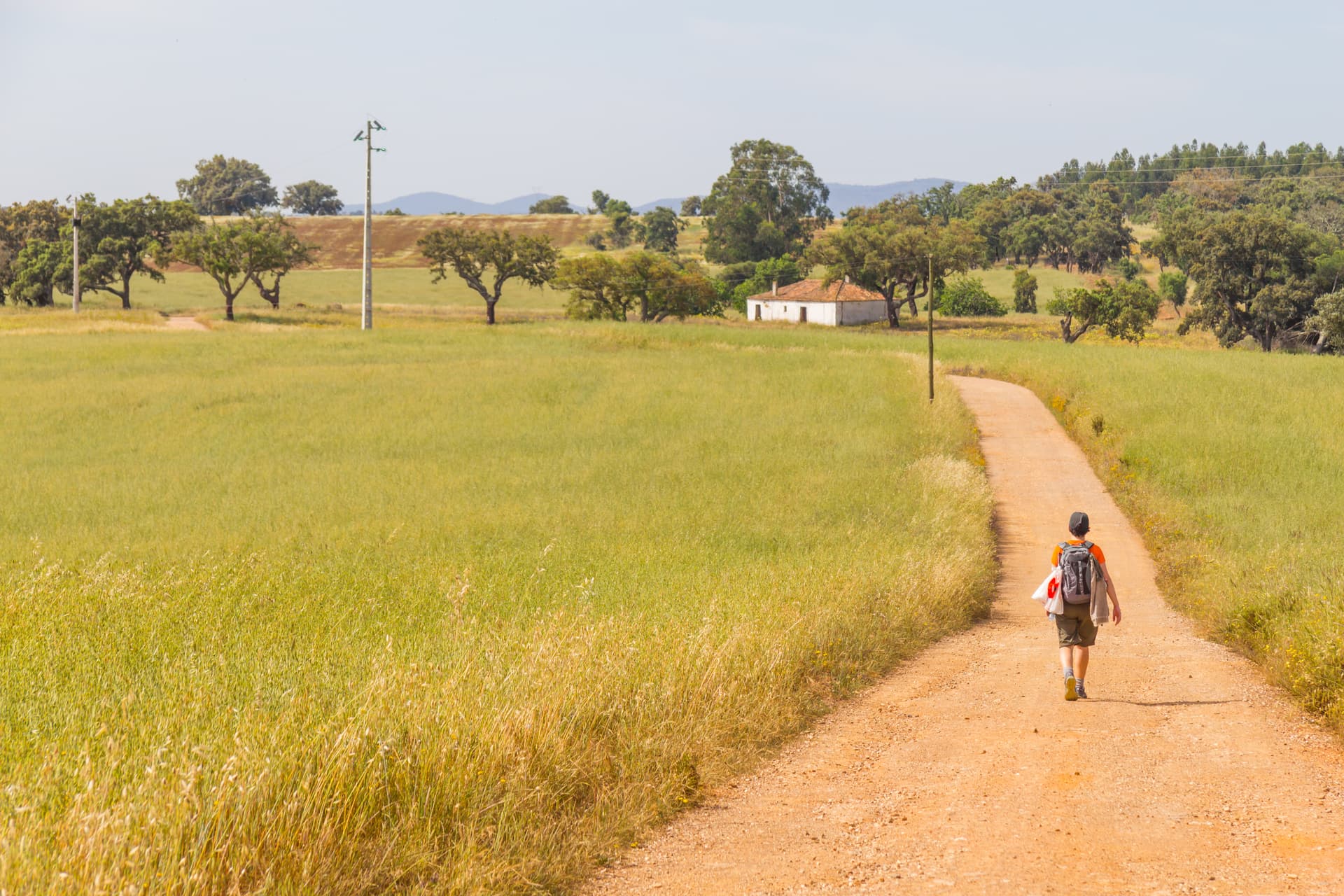 Hiker walking on dirt road through wheat field with trees and distant hills in Vale Seco, Santiago do Cacem.