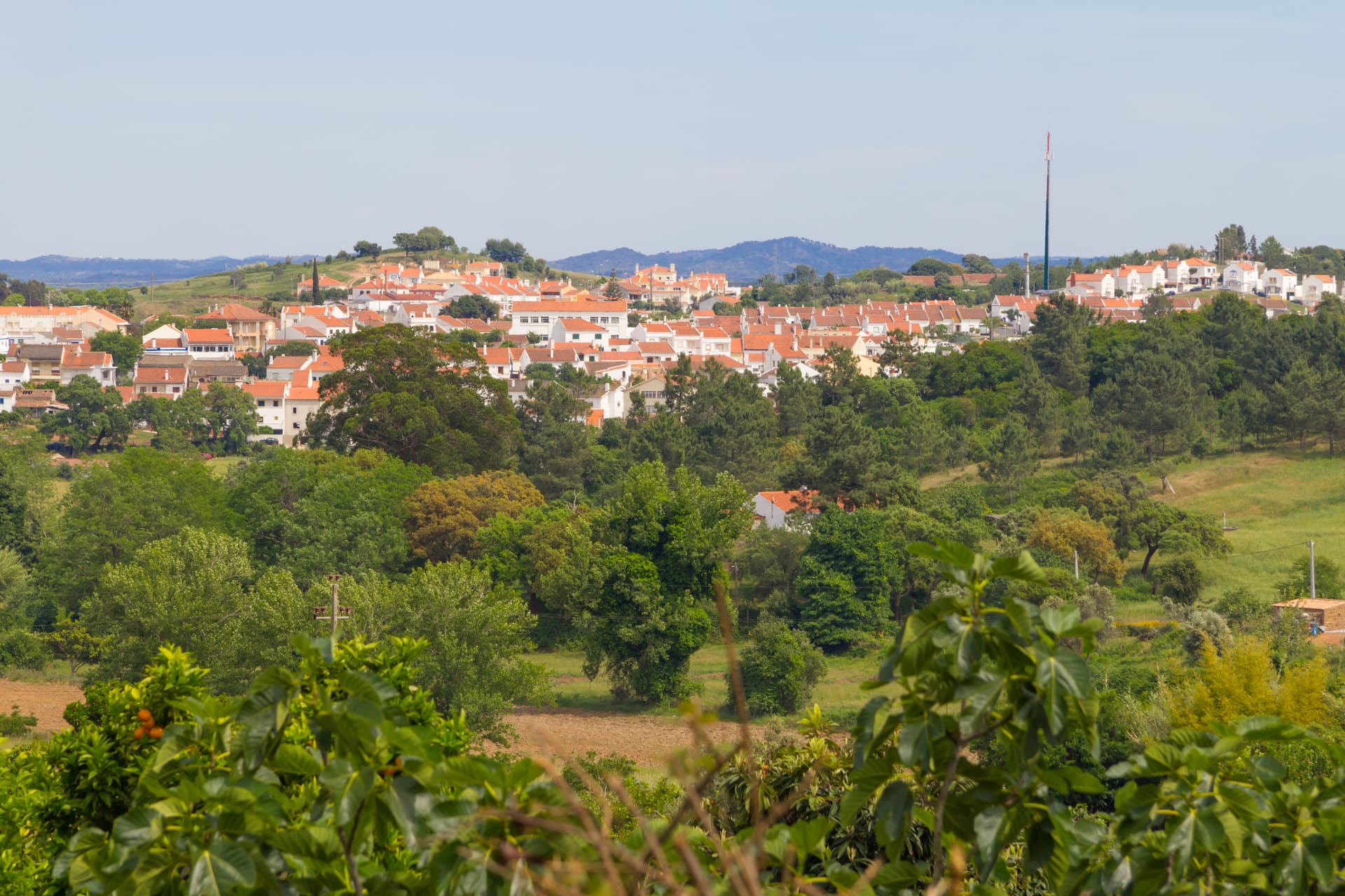 Village houses with terracotta roofs nestled among green trees, viewed over foreground foliage in Cercal village.