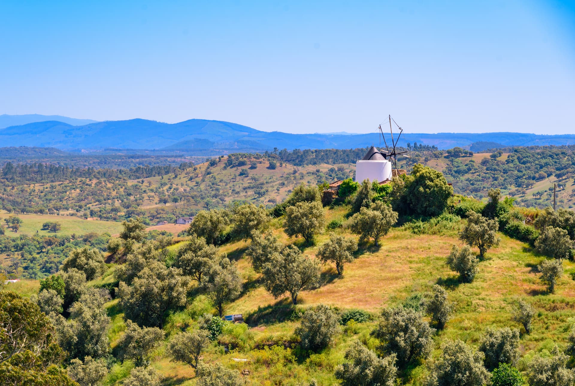 White windmill atop a grassy, tree-dotted hill in Alentejo, Portugal, with blue mountains in the distance.