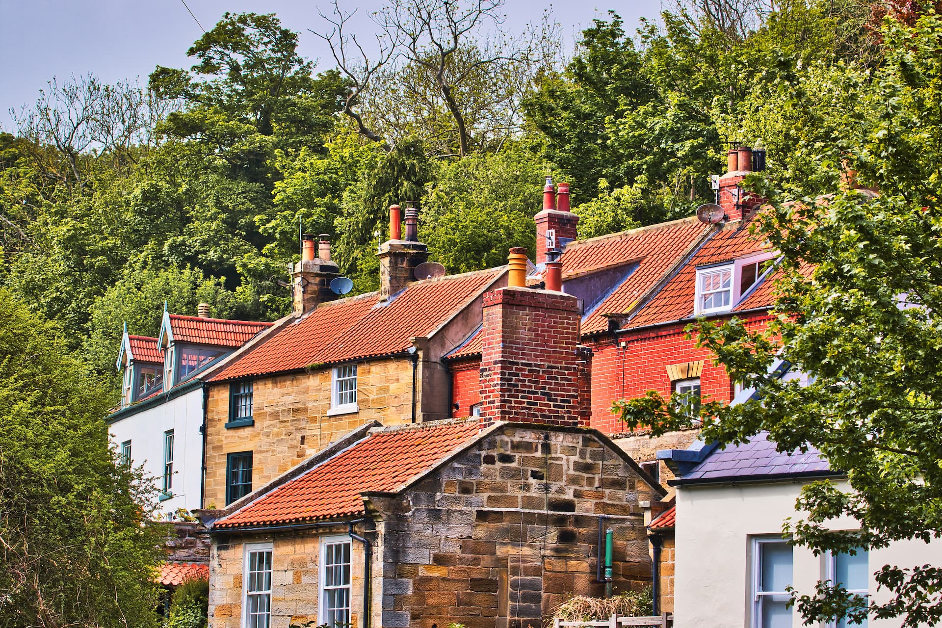 Houses with terracotta roofs and chimneys nestled against a backdrop of dense green trees in Robin Hood's Bay.