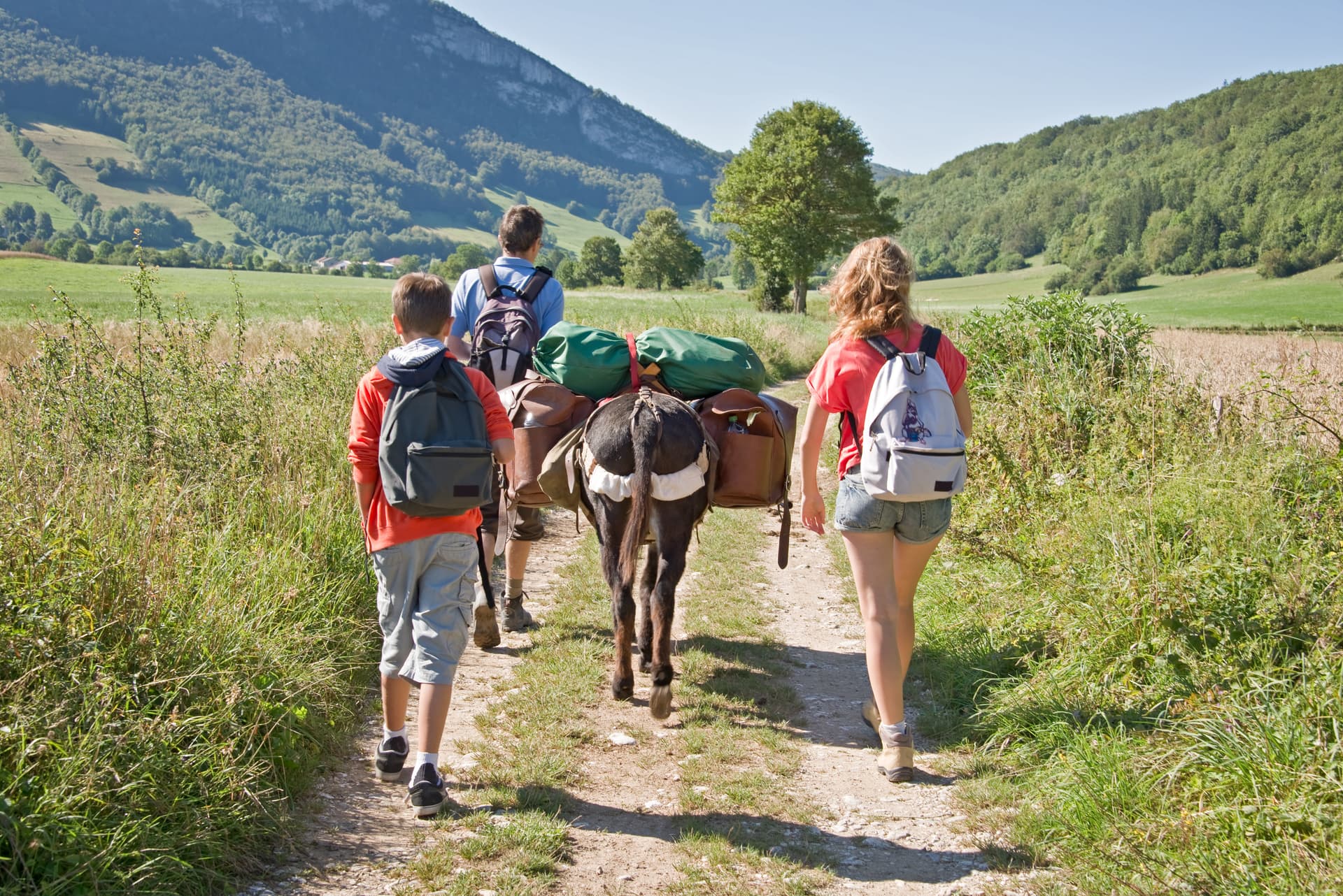 Family hiking with a pack donkey on a dirt path in the Vercors mountains, France.