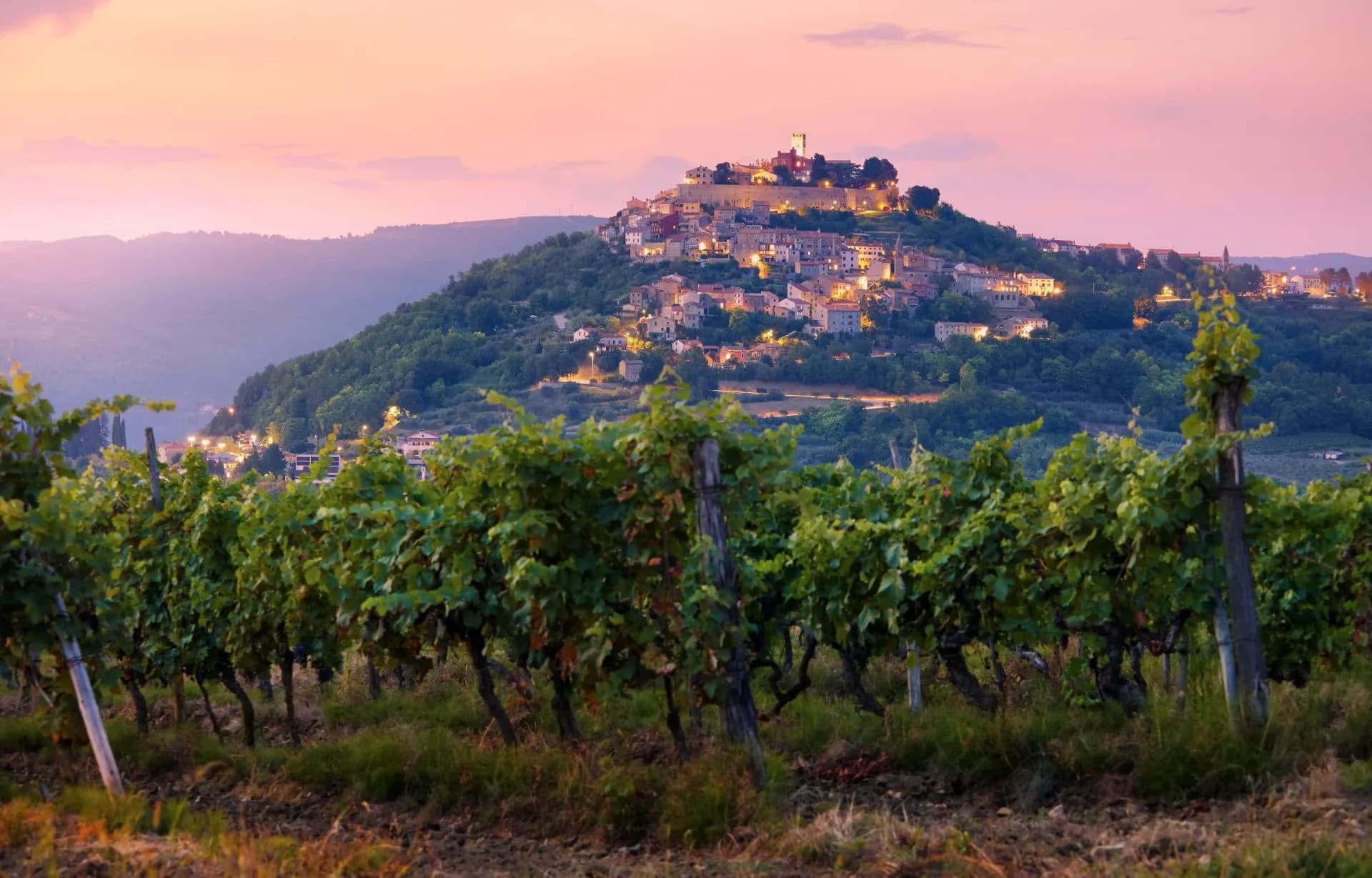 Vineyard in Istria overlooking hill town at sunset with pink sky