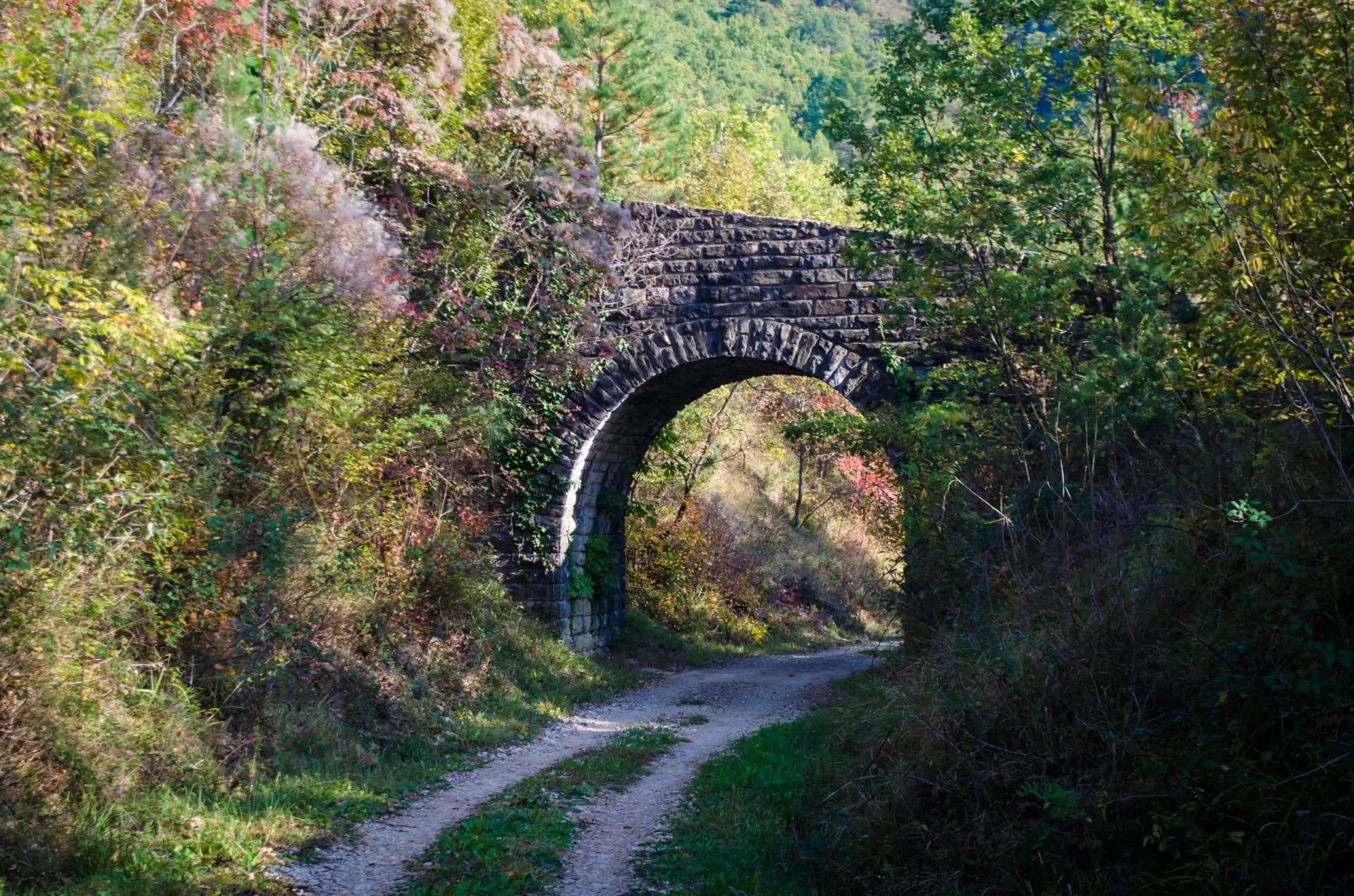 Hiking below a stone arch bridge on a dirt path surrounded by lush, overgrown foliage.