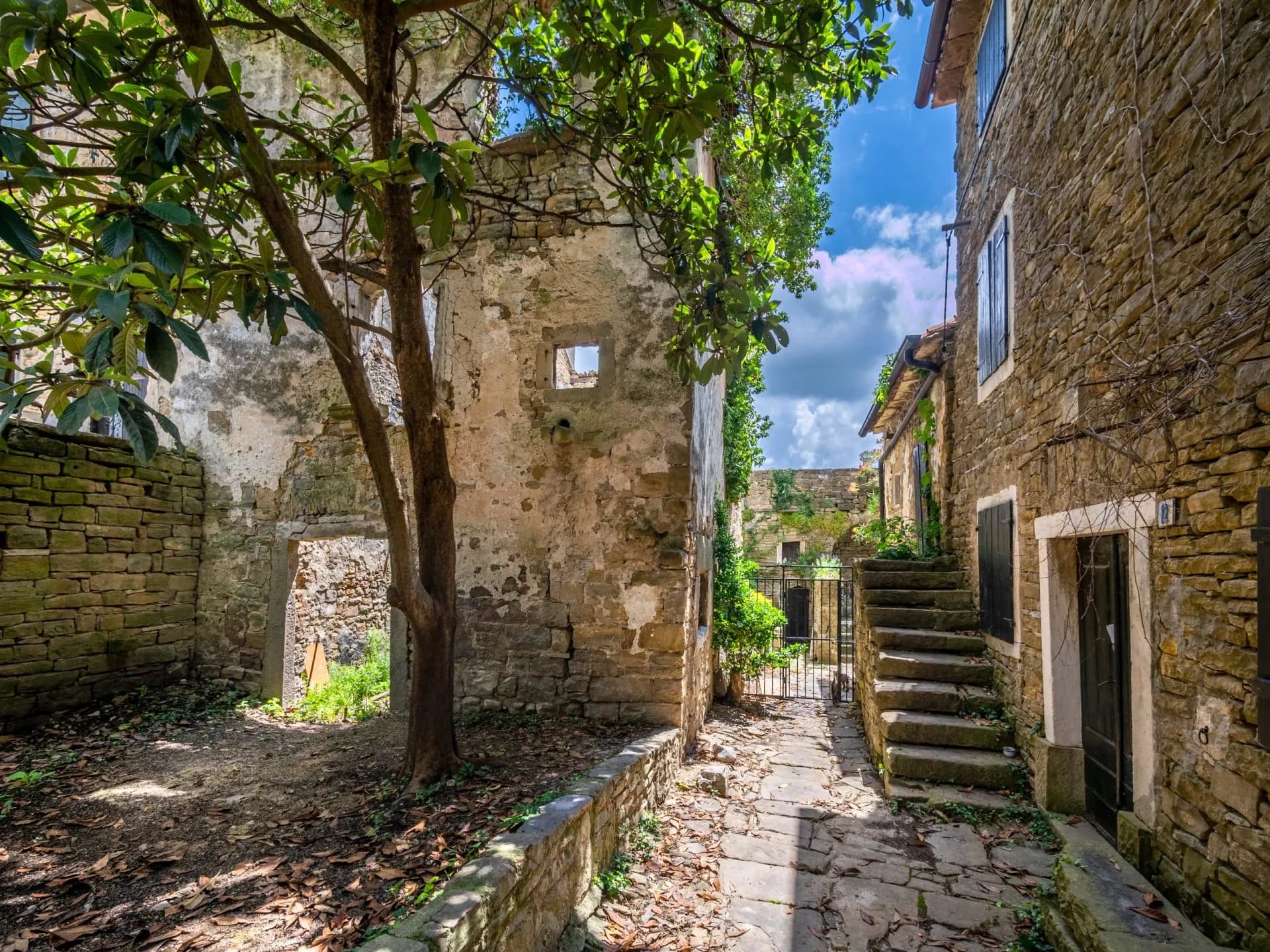 Stone alleyway in Grožnjan village with old walls, tree, and steps under blue sky.