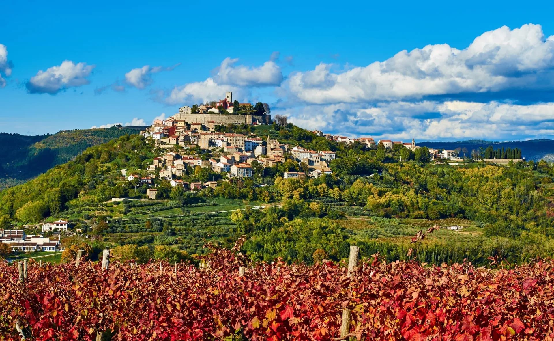 Hilltop town of Motovun with autumn vineyards in the foreground under blue sky.