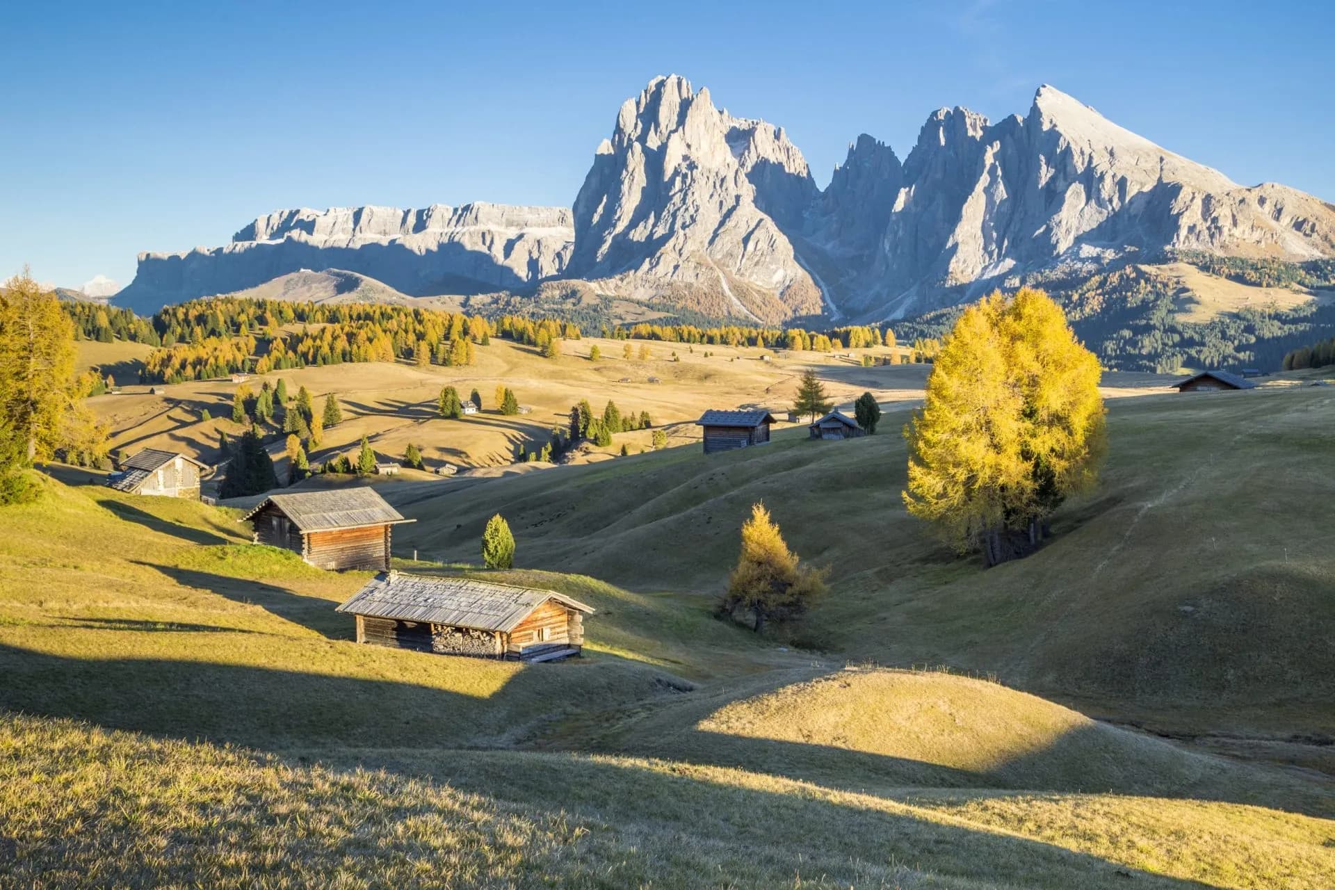 Alpe di Siusi with jagged mountain peaks, rolling autumn meadows, and wooden huts under clear blue sky.